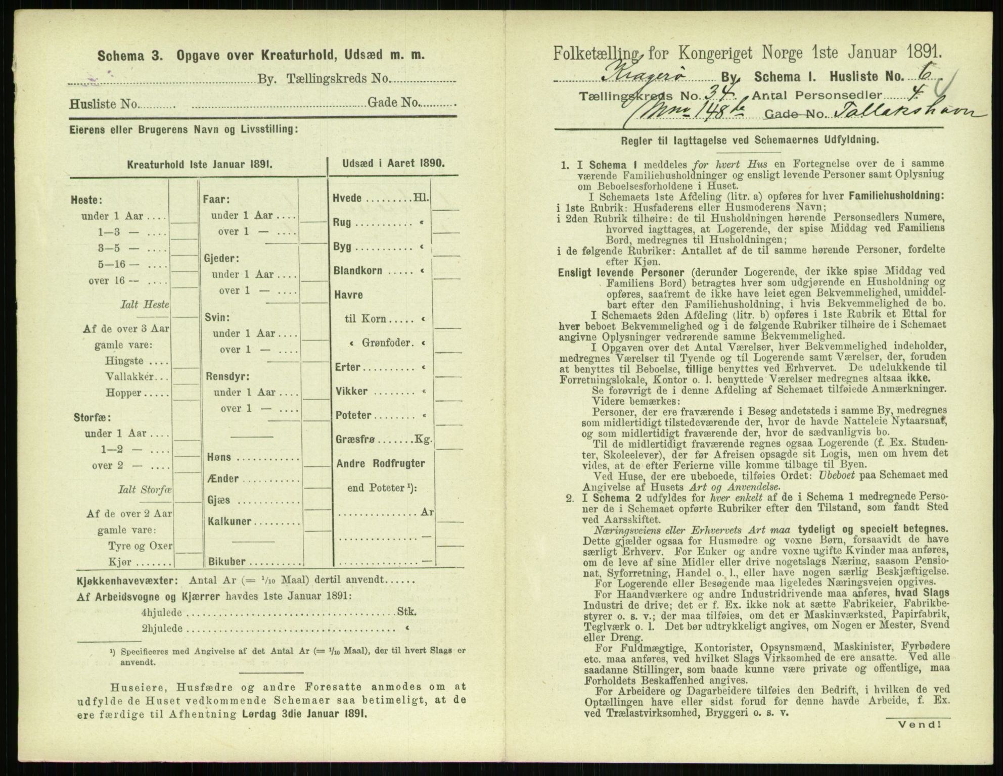 RA, 1891 census for 0801 Kragerø, 1891, p. 1244