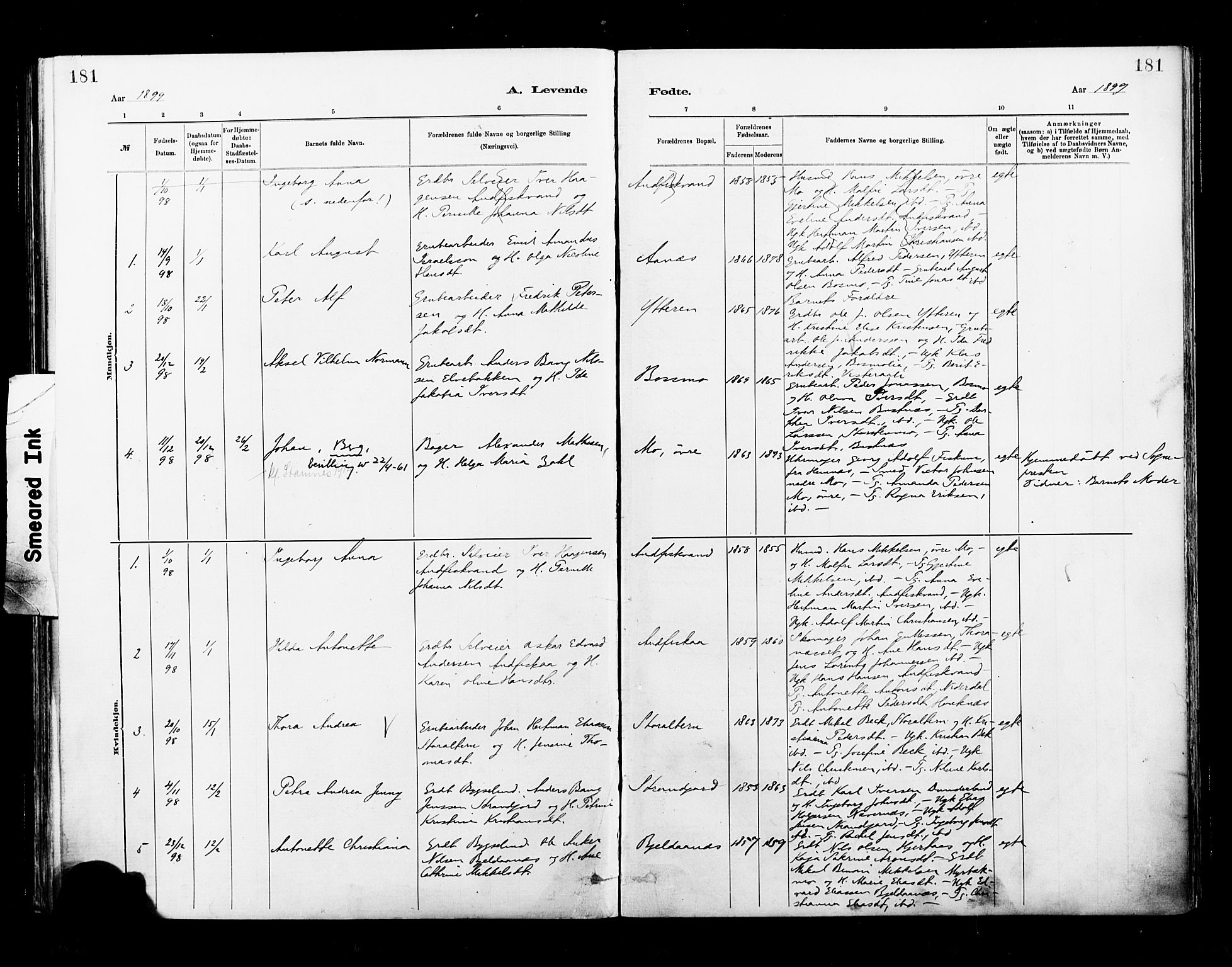 Ministerialprotokoller, klokkerbøker og fødselsregistre - Nordland, SAT/A-1459/827/L0400: Parish register (official) no. 827A12, 1883-1903, p. 181
