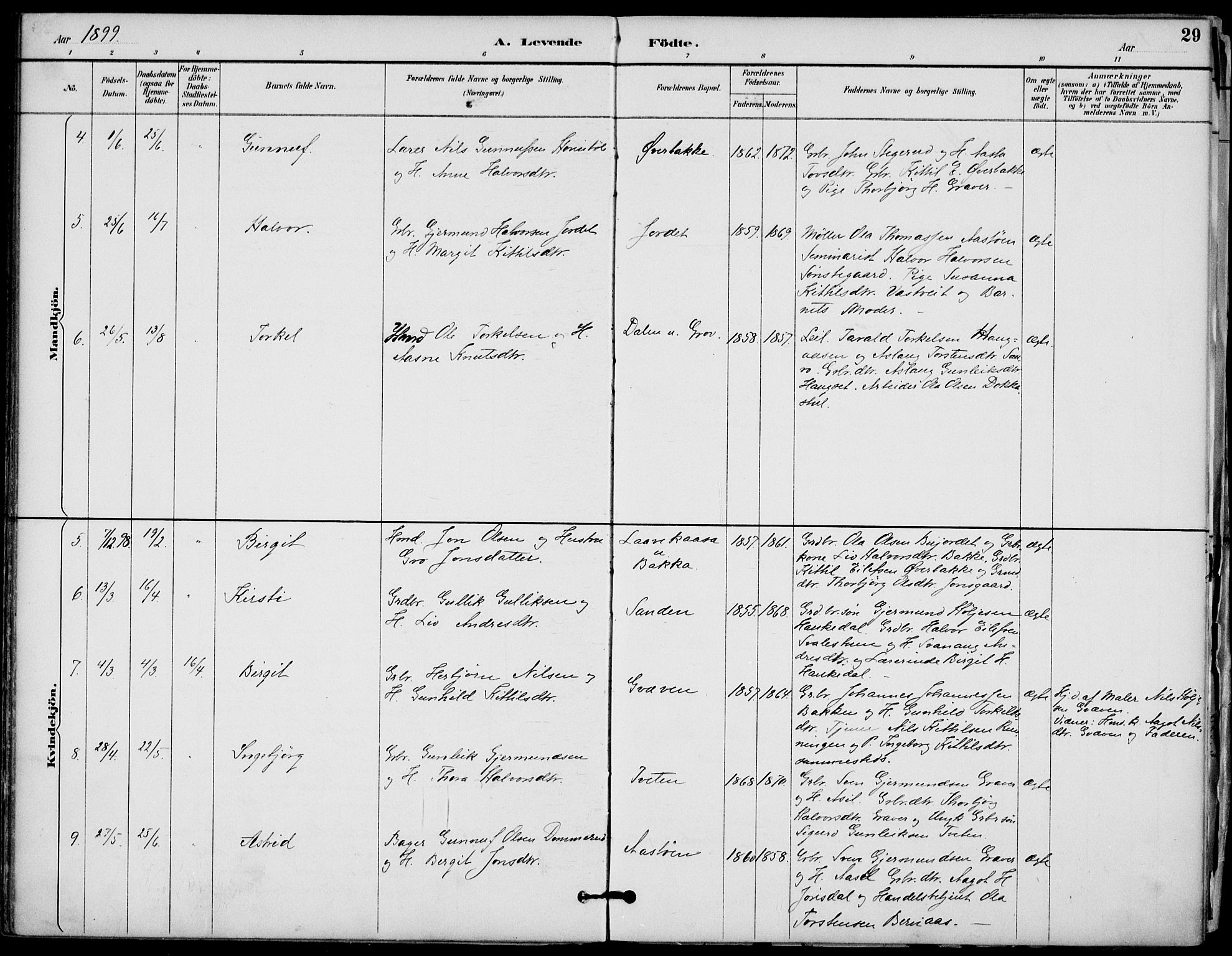 Gransherad kirkebøker, AV/SAKO-A-267/F/Fb/L0005: Parish register (official) no. II 5, 1887-1916, p. 29