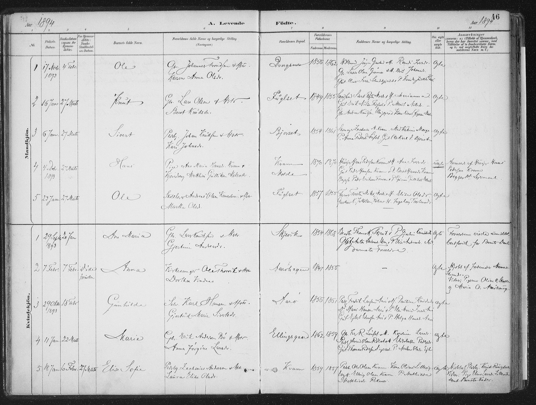 Ministerialprotokoller, klokkerbøker og fødselsregistre - Møre og Romsdal, SAT/A-1454/555/L0658: Parish register (official) no. 555A09, 1887-1917, p. 46