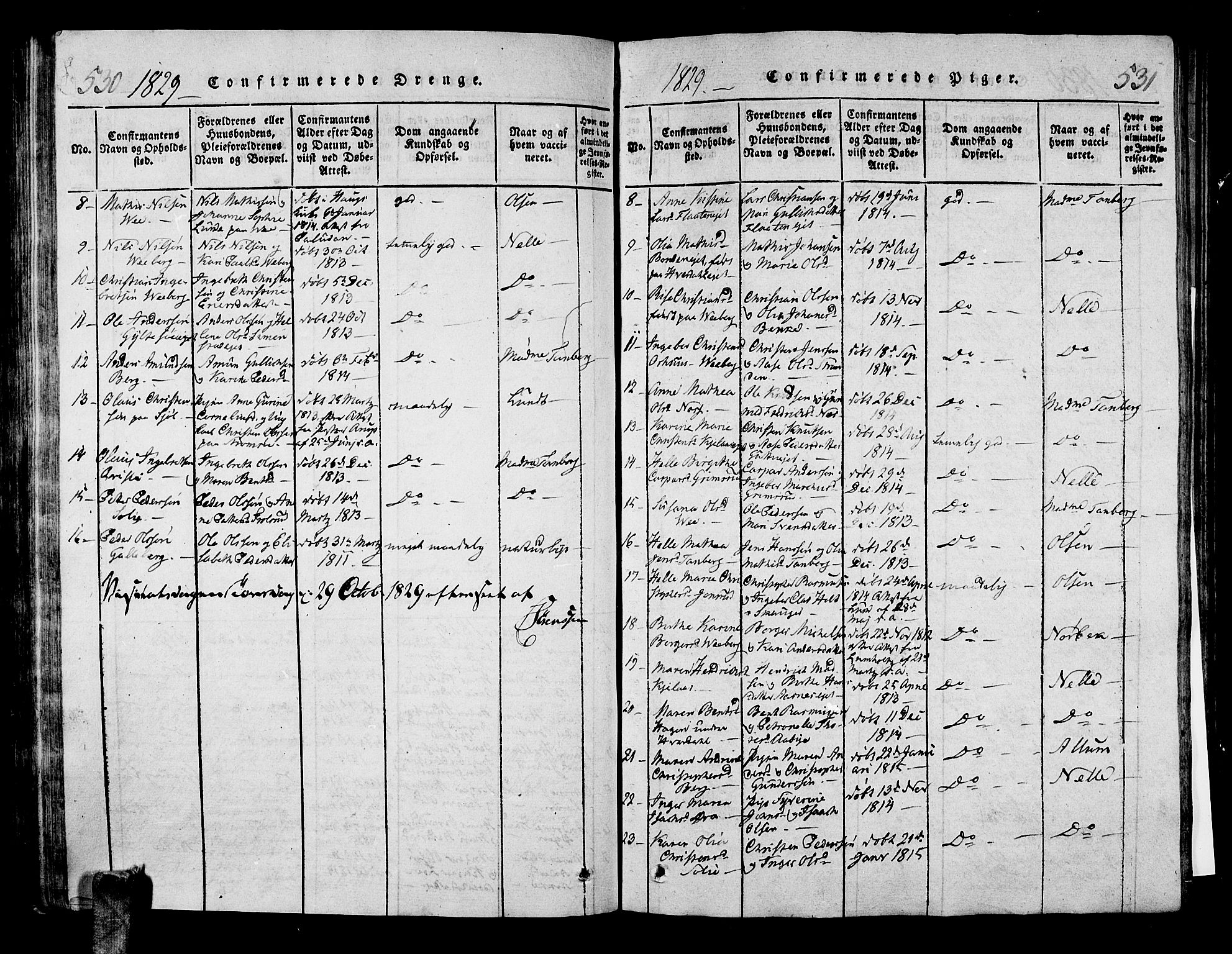 Sande Kirkebøker, AV/SAKO-A-53/G/Ga/L0001: Parish register (copy) no. 1, 1814-1847, p. 530-531