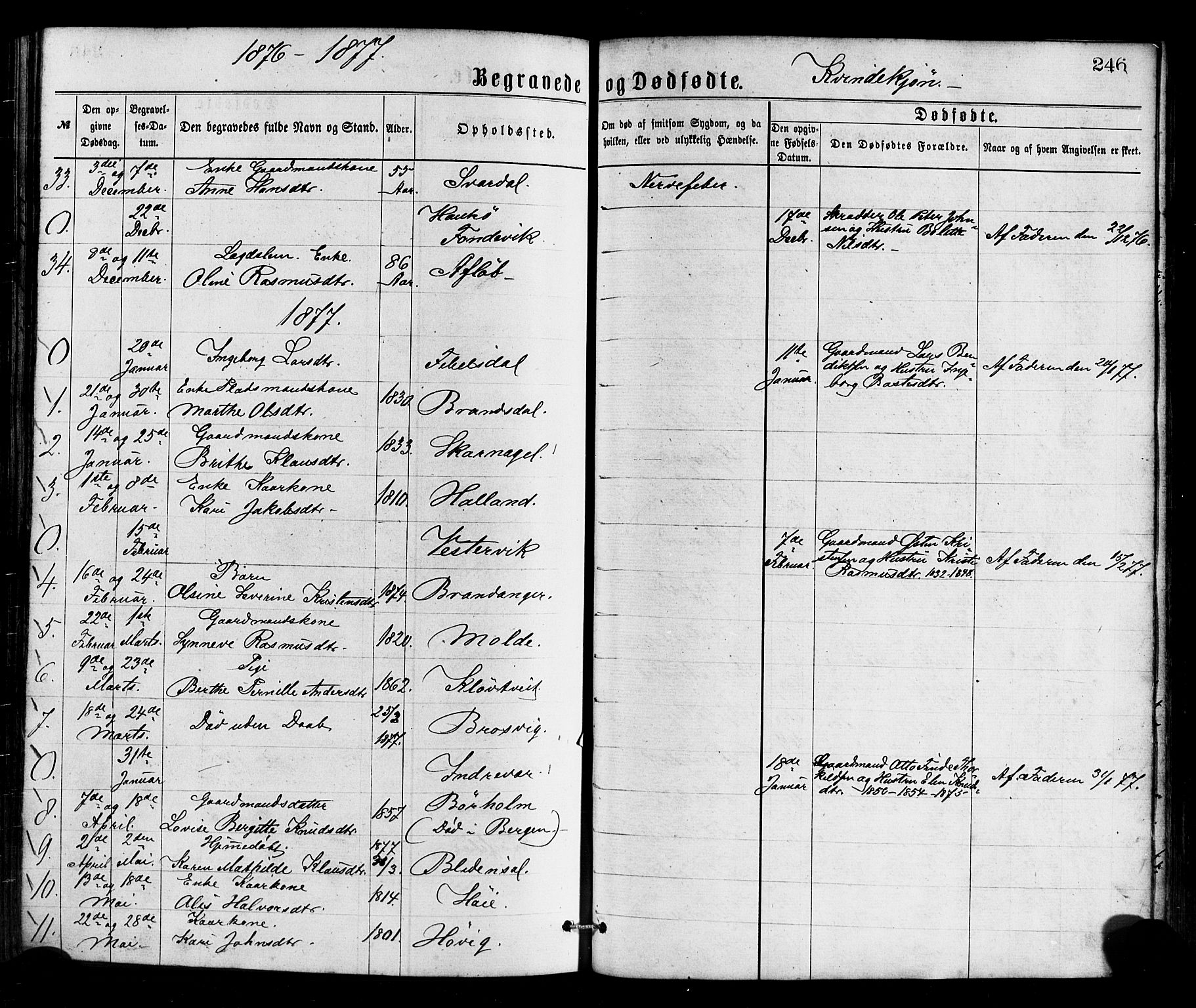 Gulen sokneprestembete, AV/SAB-A-80201/H/Haa/Haaa/L0023: Parish register (official) no. A 23, 1870-1880, p. 246