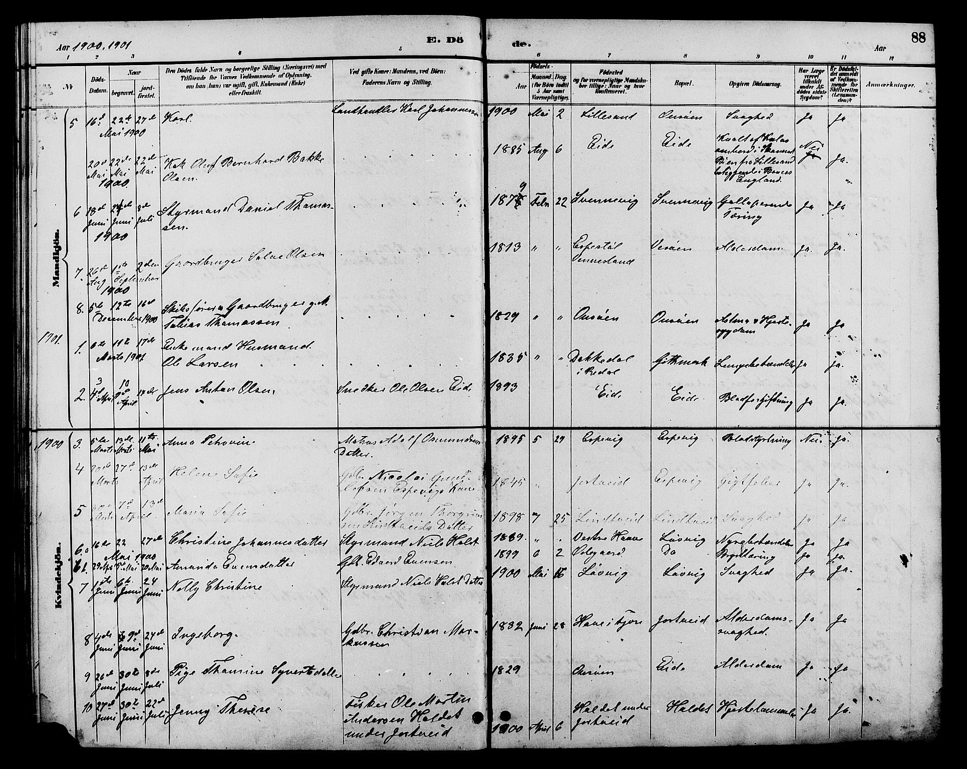 Hommedal sokneprestkontor, SAK/1111-0023/F/Fb/Fba/L0004: Parish register (copy) no. B 4, 1885-1908, p. 88