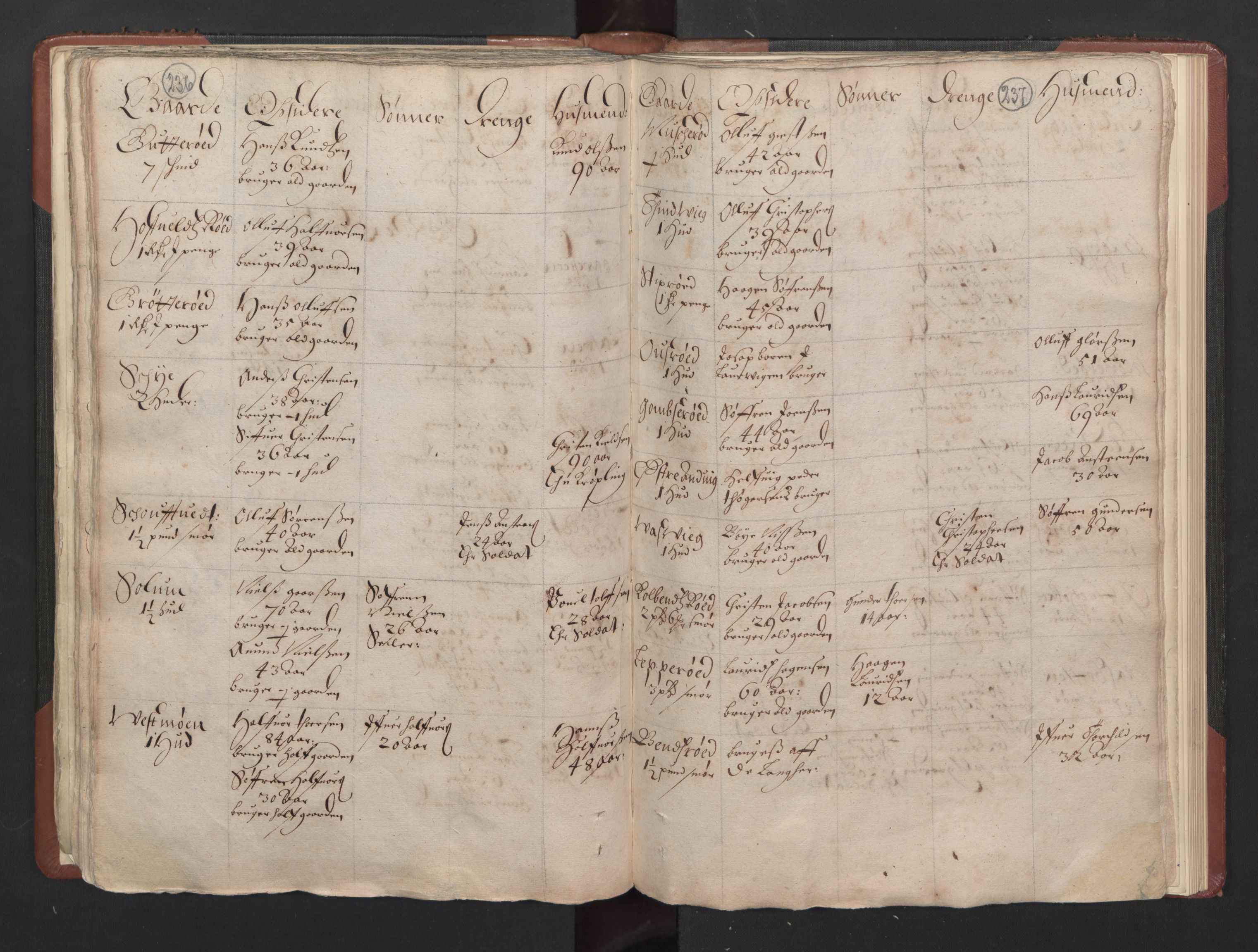 RA, Bailiff's Census 1664-1666, no. 5: Modern Buskerud county and modern Vestfold county, 1664, p. 236-237