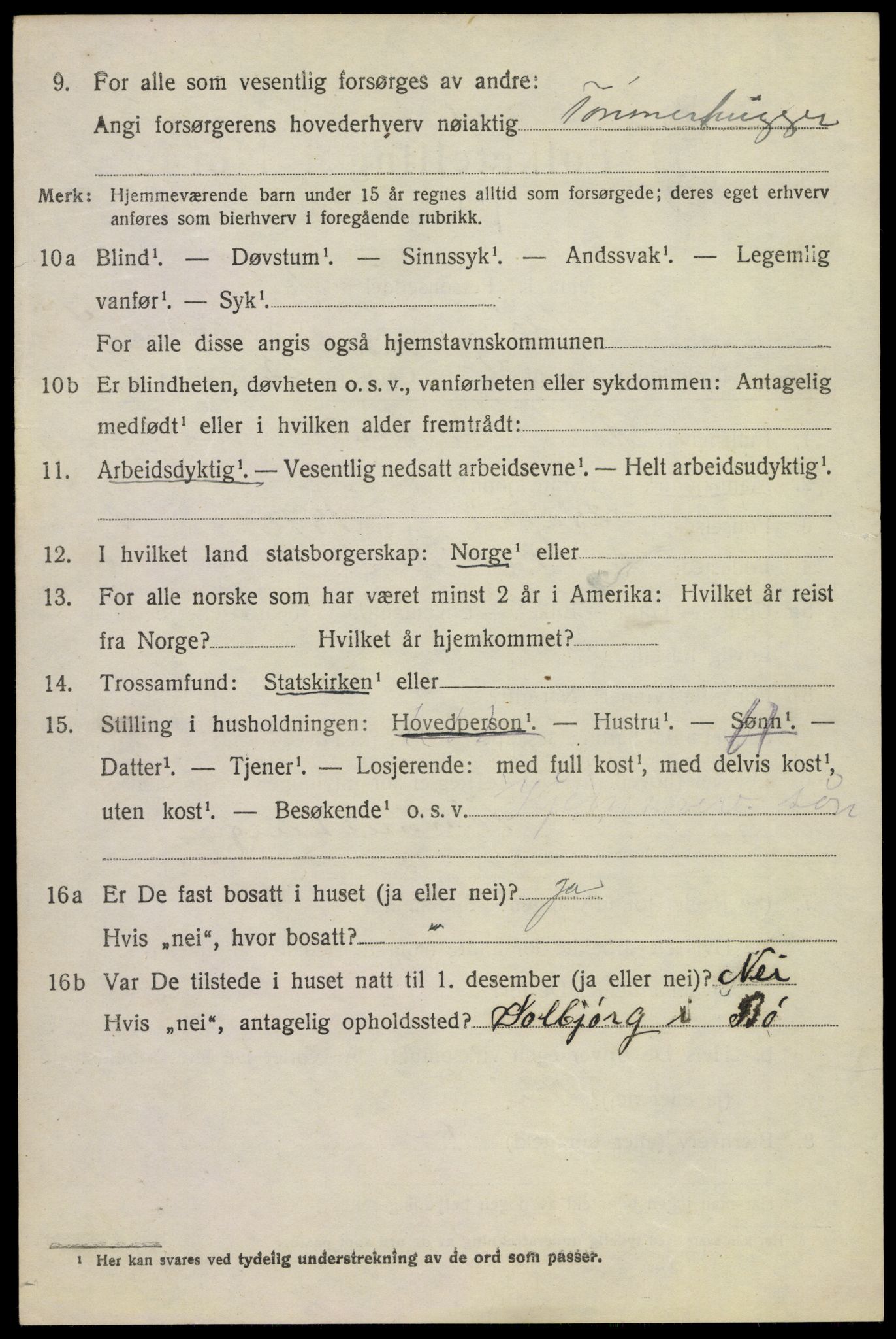 SAKO, 1920 census for Bø (Telemark), 1920, p. 3199