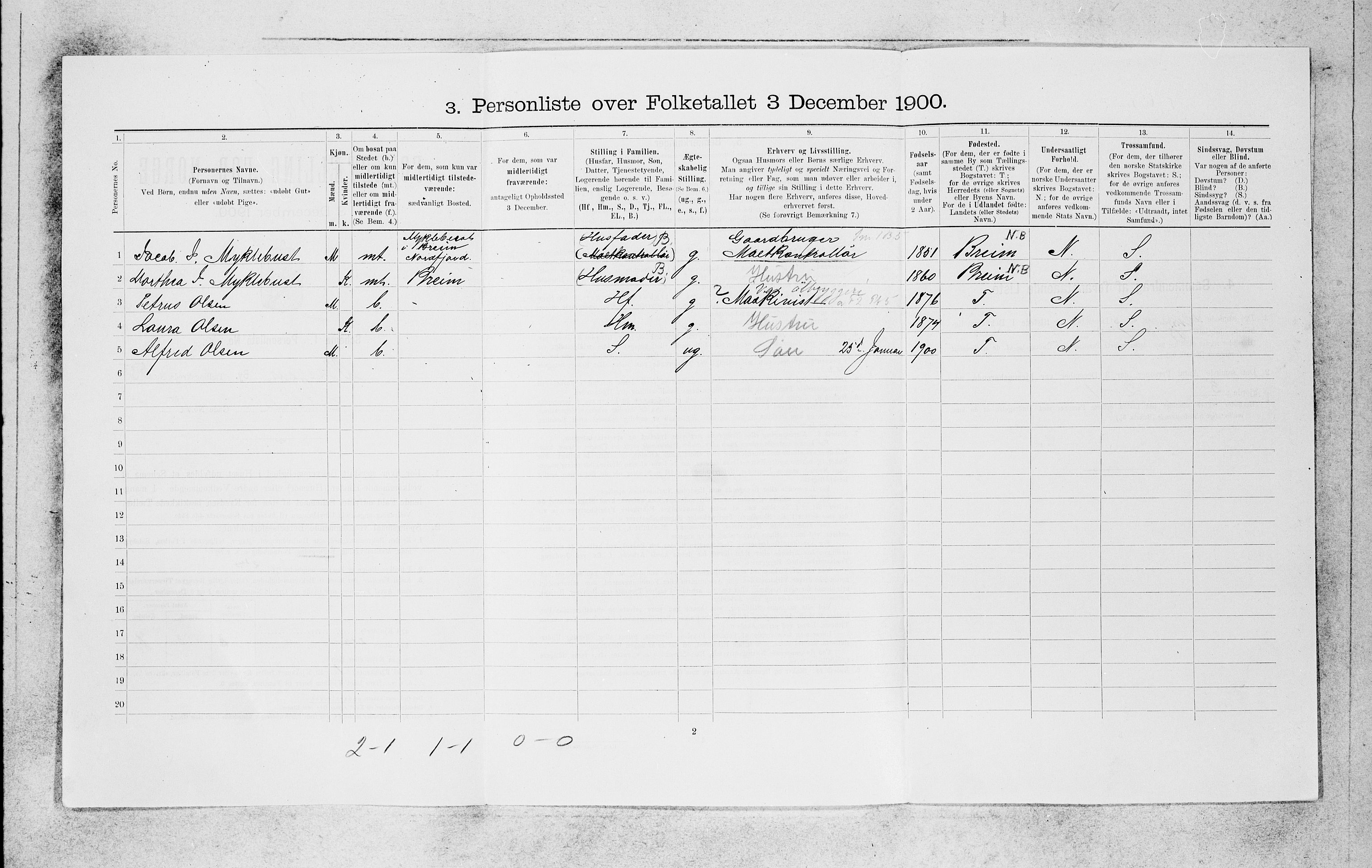 SAB, 1900 census for Bergen, 1900, p. 11162