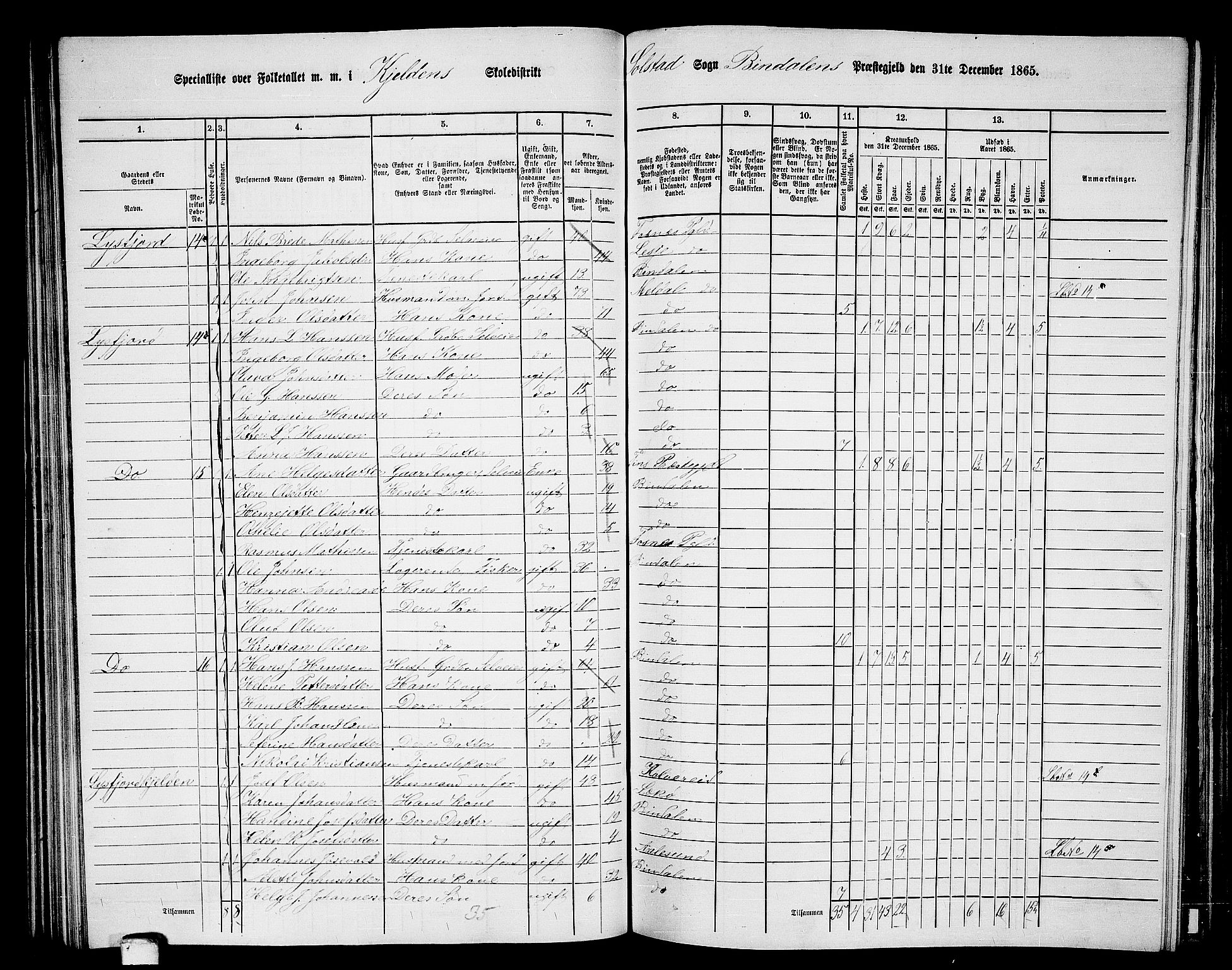 RA, 1865 census for Bindal, 1865, p. 63