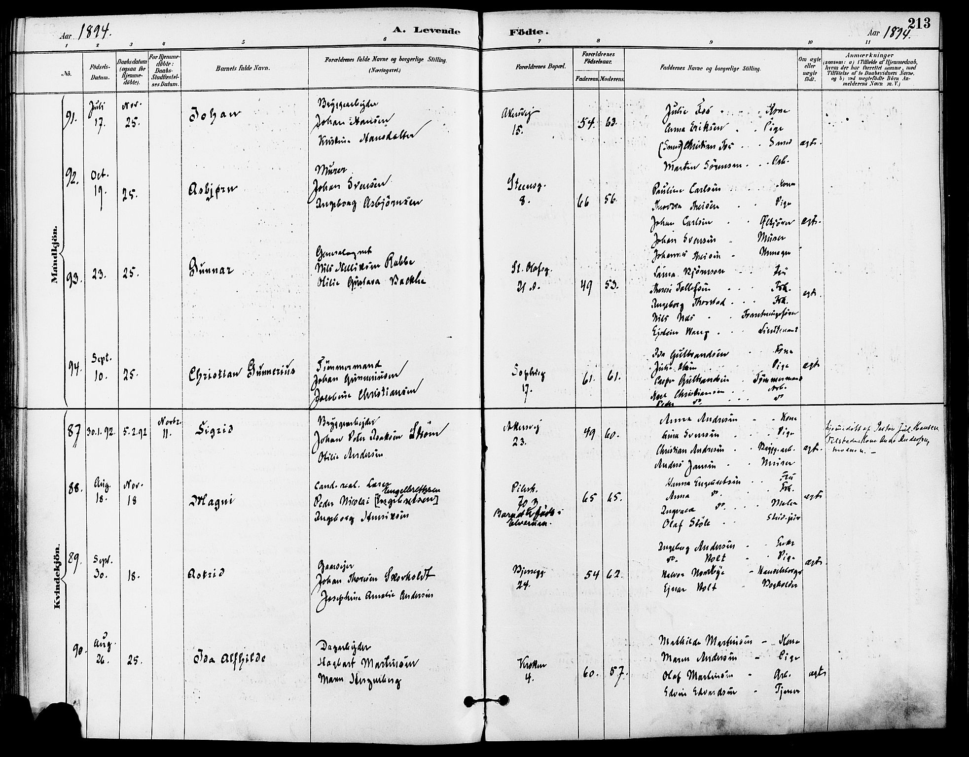 Gamle Aker prestekontor Kirkebøker, AV/SAO-A-10617a/F/L0008: Parish register (official) no. 8, 1887-1896, p. 213