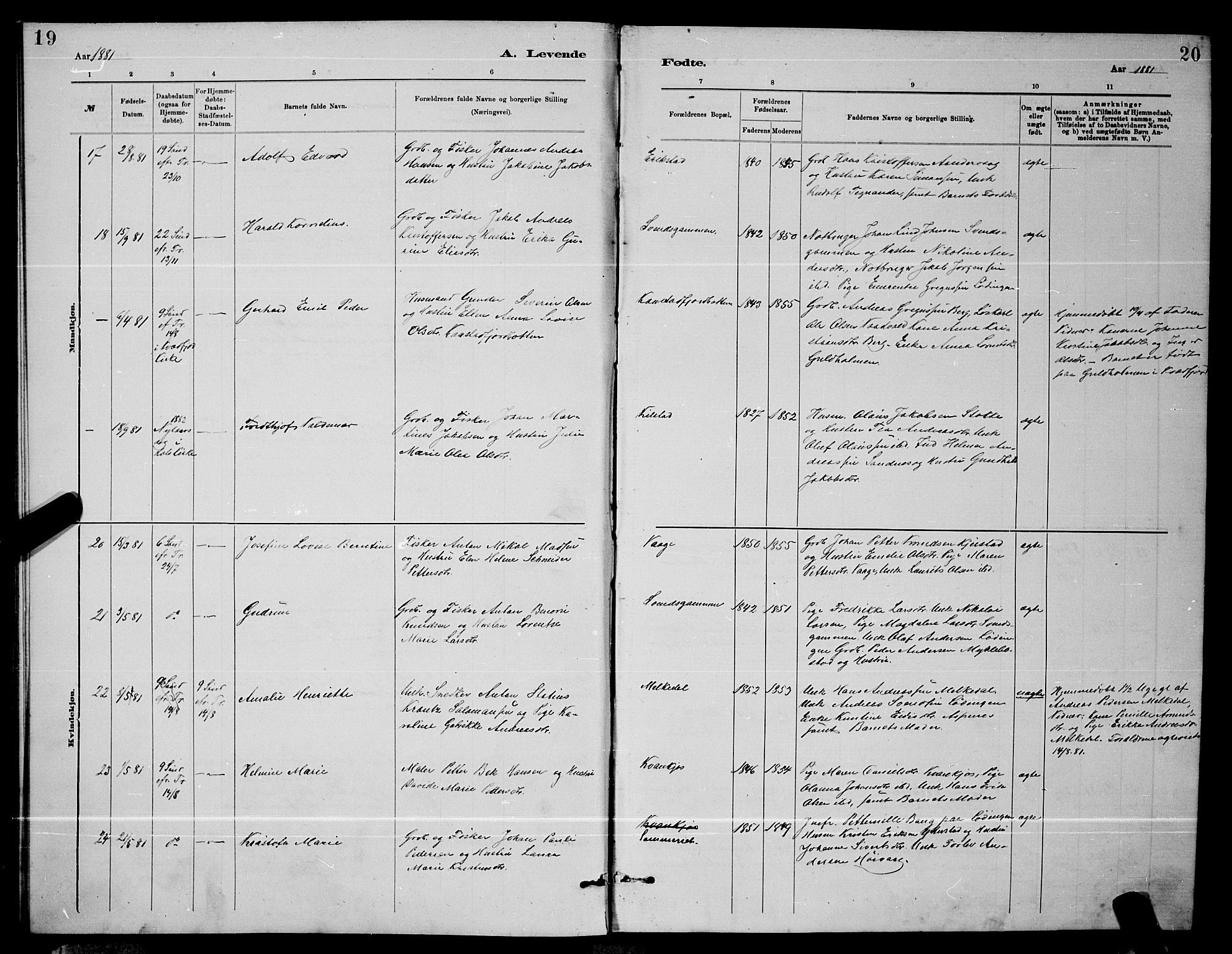 Ministerialprotokoller, klokkerbøker og fødselsregistre - Nordland, AV/SAT-A-1459/872/L1047: Parish register (copy) no. 872C03, 1880-1897, p. 19-20