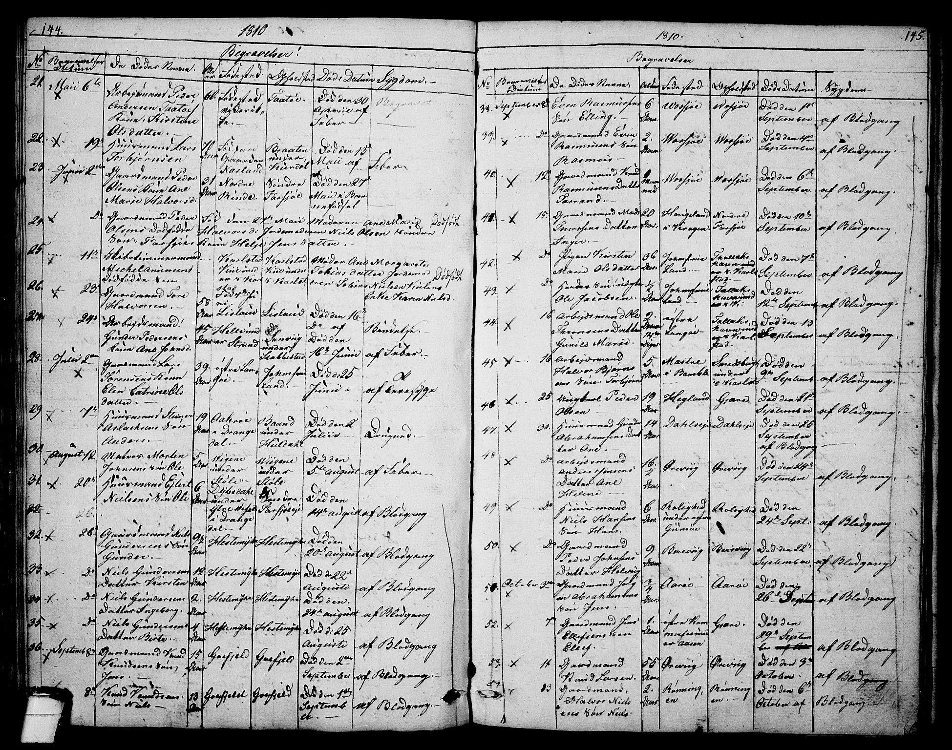 Sannidal kirkebøker, AV/SAKO-A-296/F/Fa/L0003: Parish register (official) no. 3, 1803-1813, p. 144-145