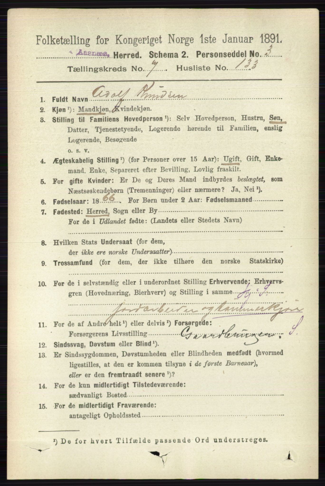 RA, 1891 census for 0425 Åsnes, 1891, p. 4113