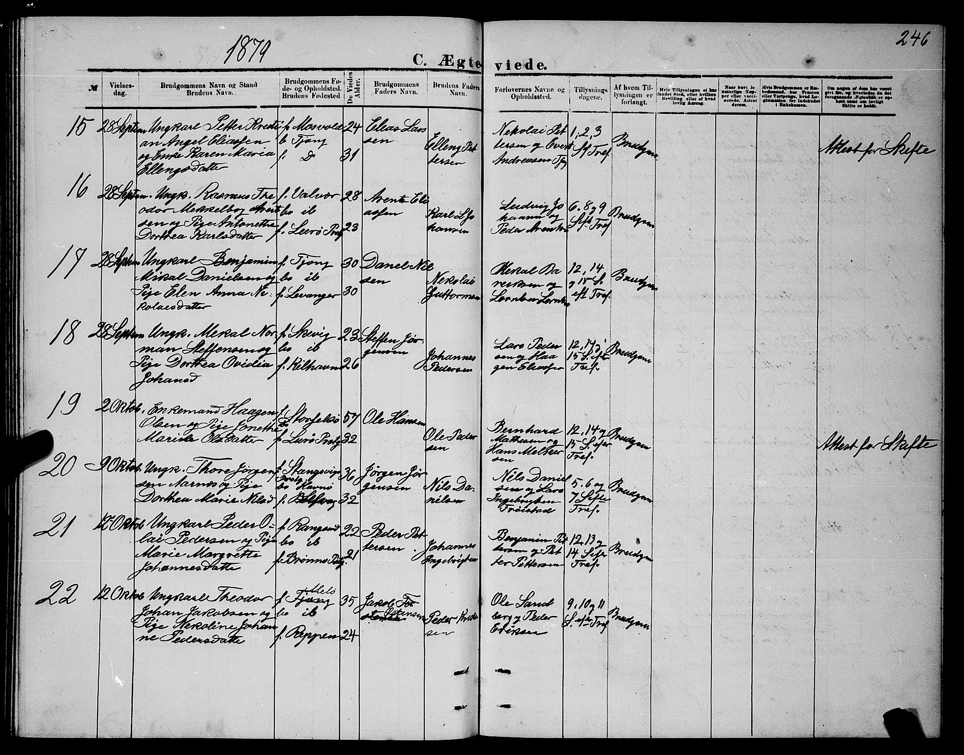 Ministerialprotokoller, klokkerbøker og fødselsregistre - Nordland, SAT/A-1459/841/L0620: Parish register (copy) no. 841C04, 1877-1896, p. 246