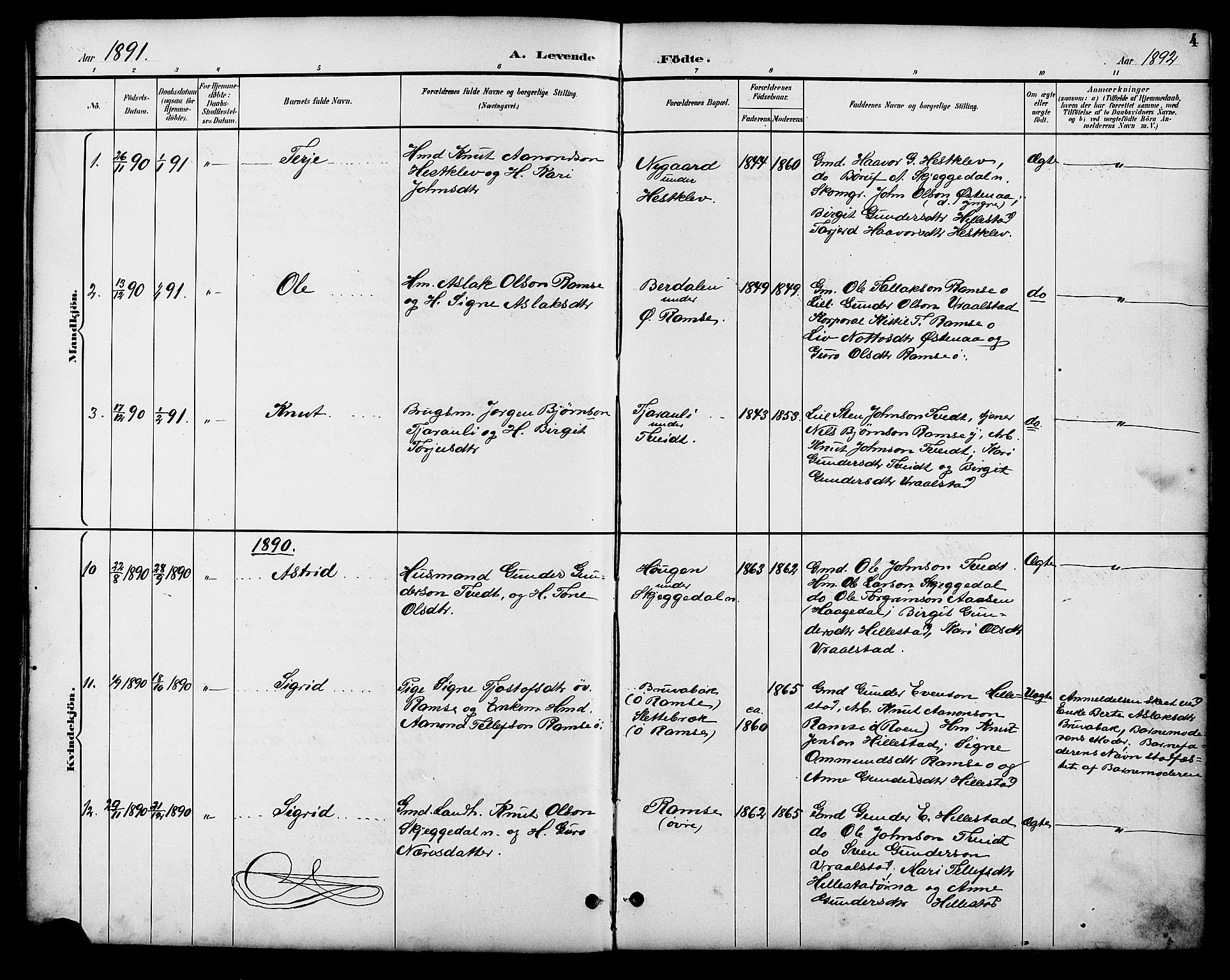 Åmli sokneprestkontor, SAK/1111-0050/F/Fb/Fbb/L0002: Parish register (copy) no. B 2, 1890-1905, p. 4