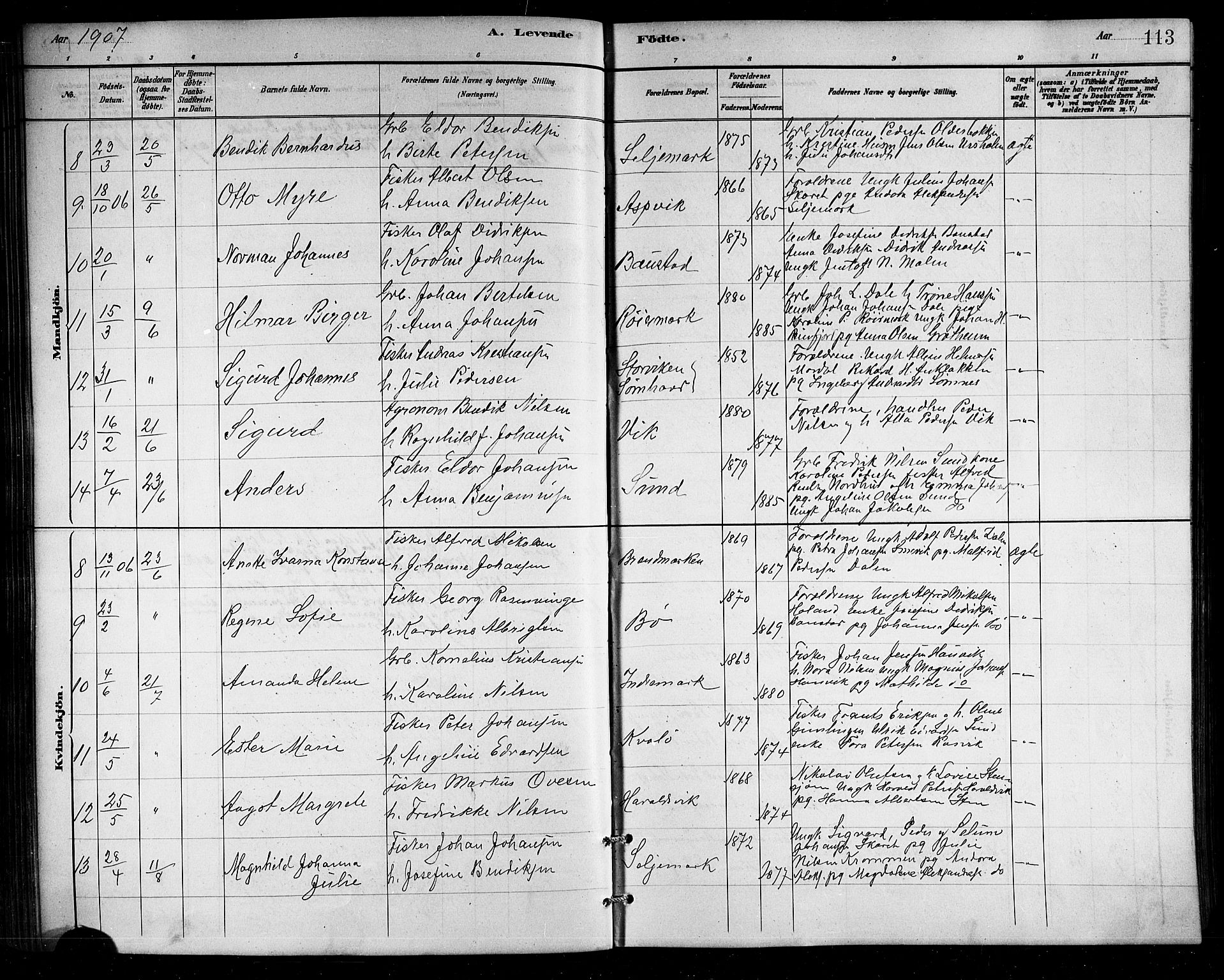 Ministerialprotokoller, klokkerbøker og fødselsregistre - Nordland, SAT/A-1459/812/L0188: Parish register (copy) no. 812C06, 1884-1912, p. 113