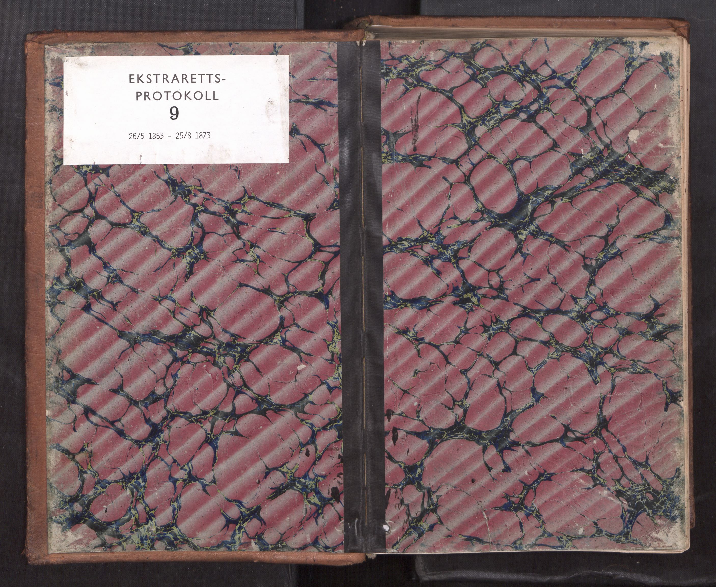 Strinda og Selbu sorenskriveri, SAT/A-0015/1/1B/L0011: Ekstrarettsprot. 9, 1863-1873