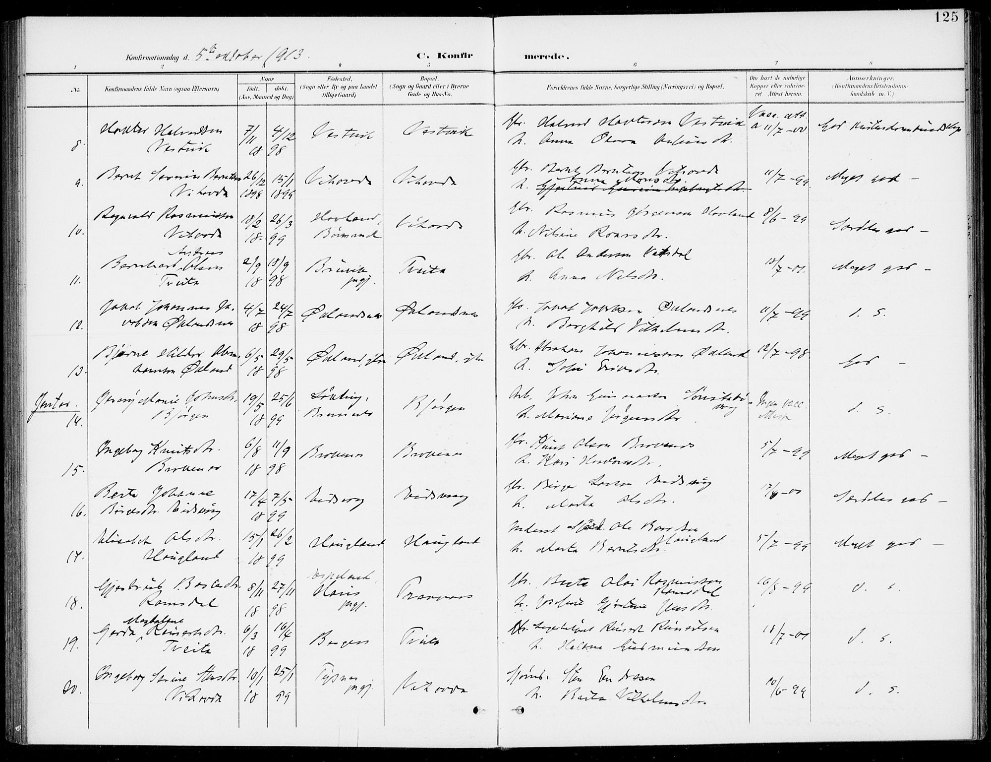 Sveio Sokneprestembete, SAB/A-78501/H/Haa: Parish register (official) no. C 3, 1899-1916, p. 125