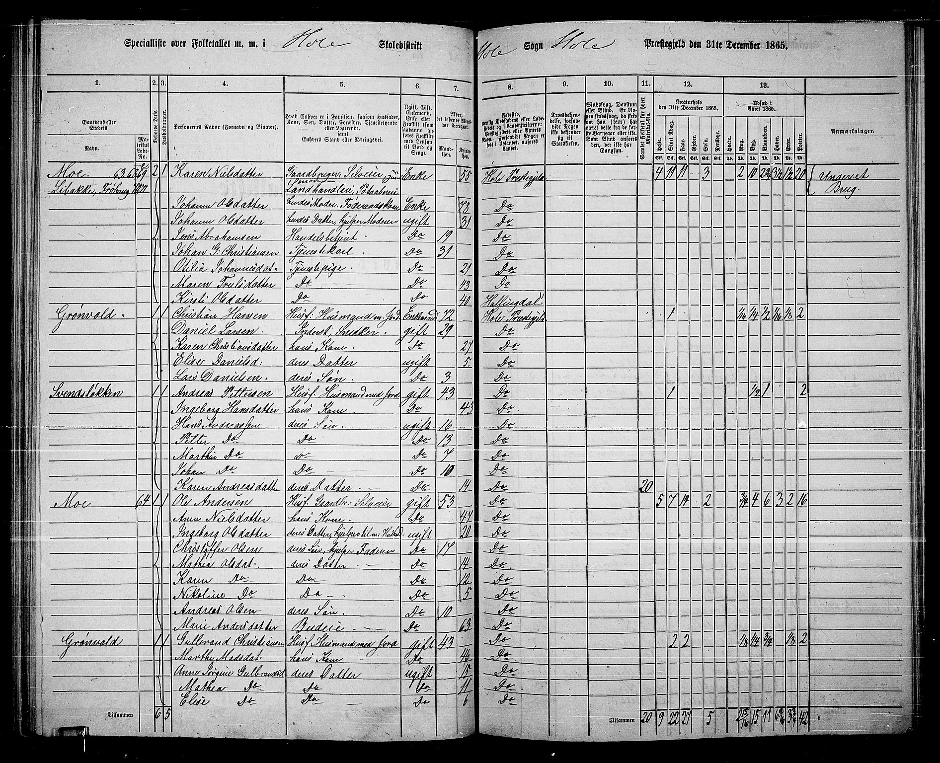 RA, 1865 census for Hole, 1865, p. 96