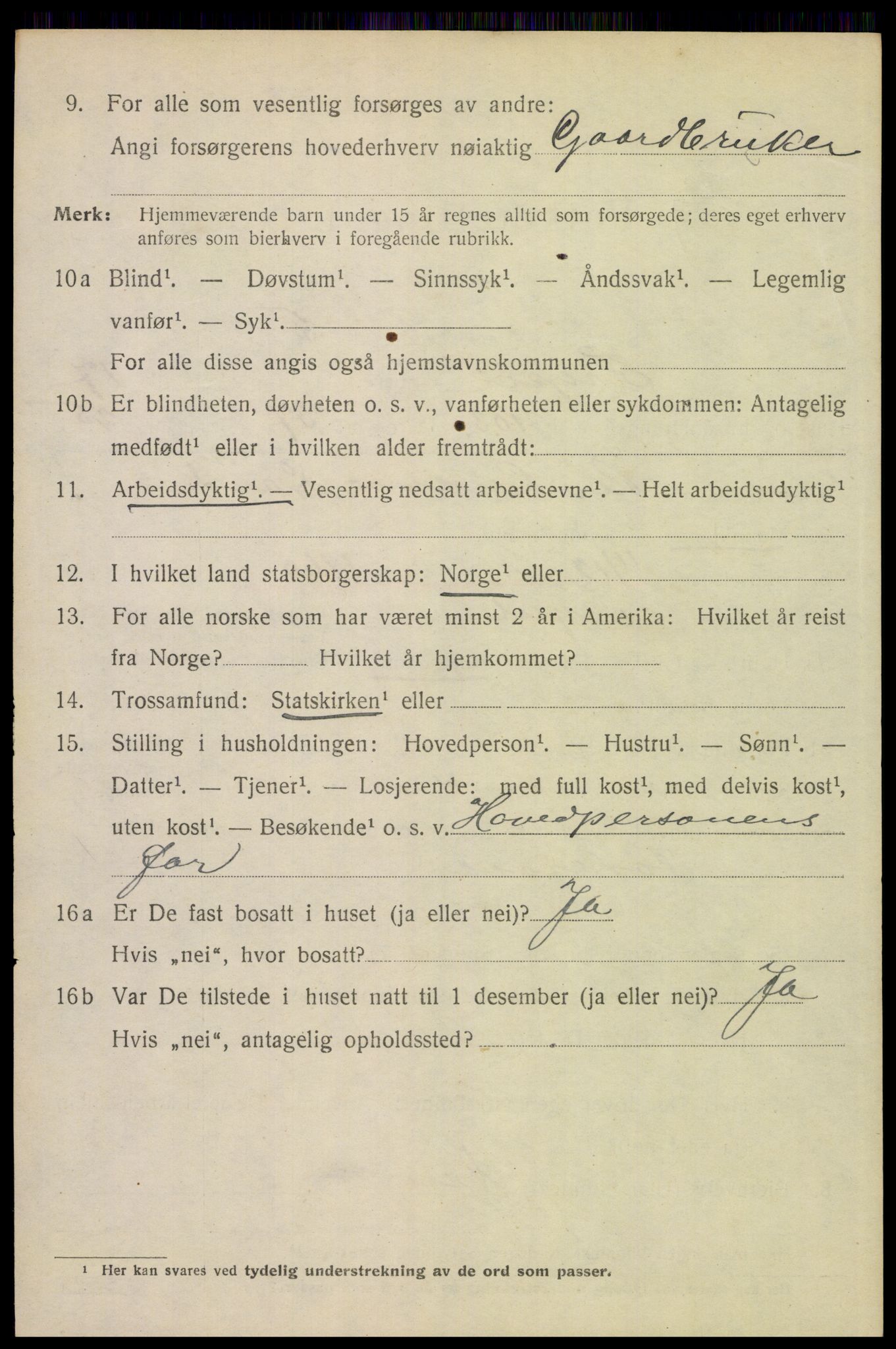 SAH, 1920 census for Trysil, 1920, p. 11382
