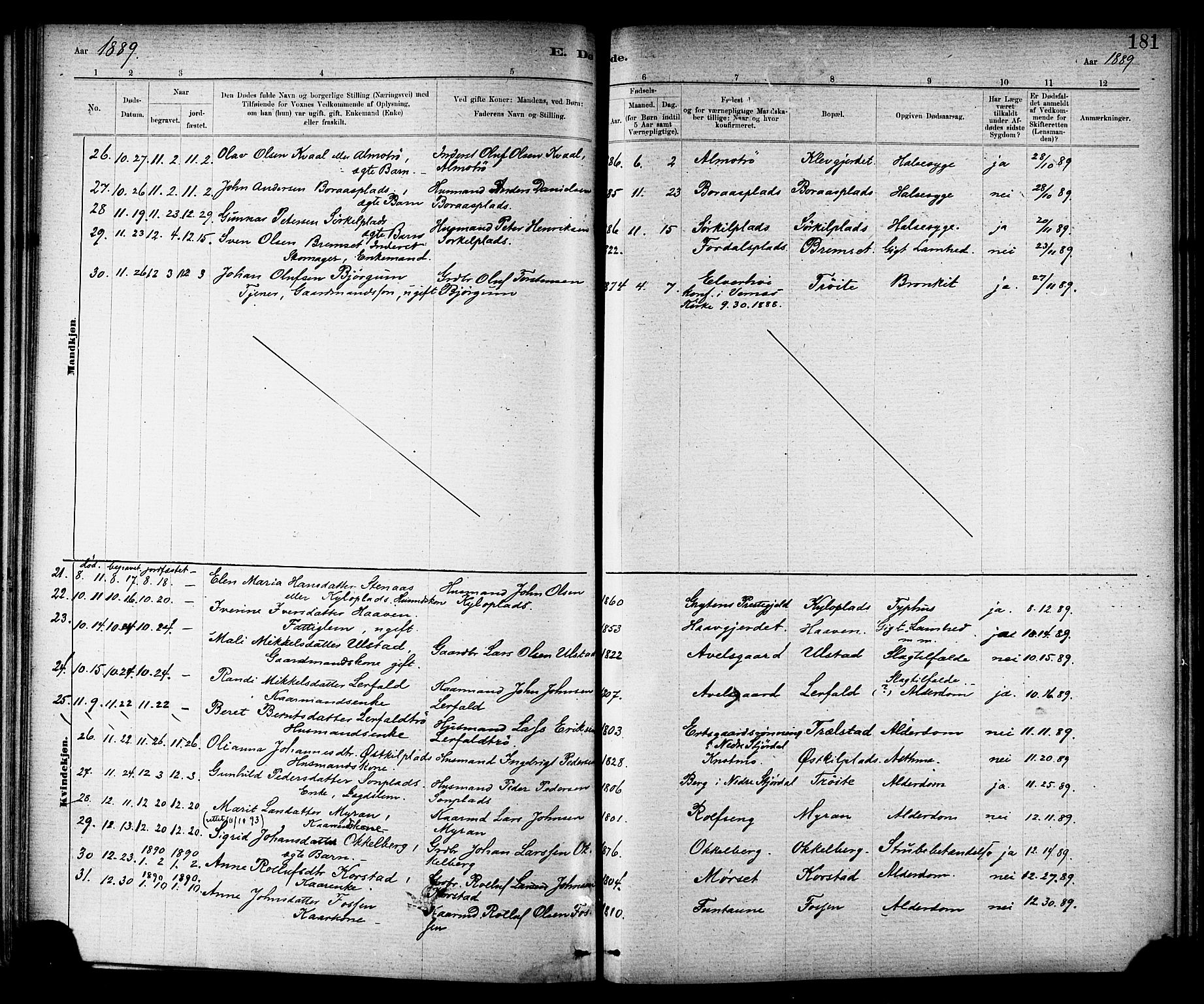 Ministerialprotokoller, klokkerbøker og fødselsregistre - Nord-Trøndelag, SAT/A-1458/703/L0030: Parish register (official) no. 703A03, 1880-1892, p. 181