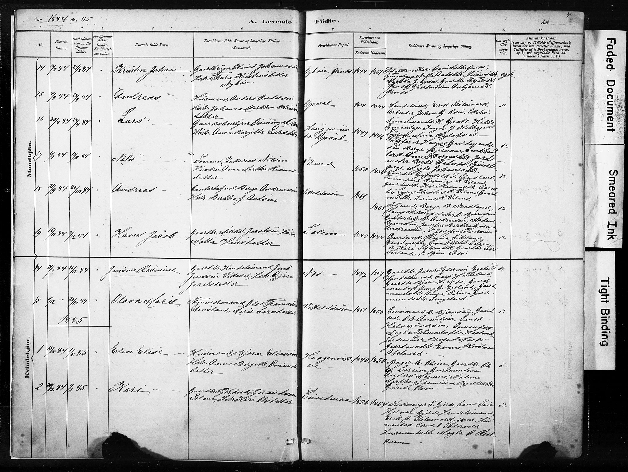 Vikedal sokneprestkontor, AV/SAST-A-101840/01/IV: Parish register (official) no. A 10, 1884-1907, p. 4