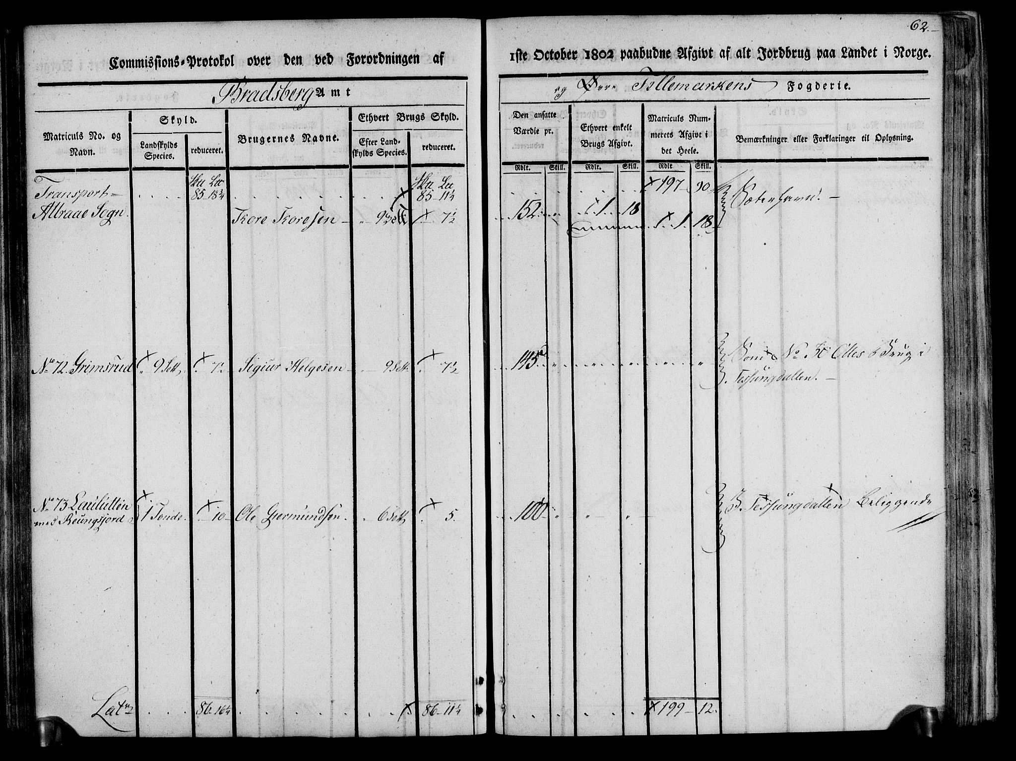 Rentekammeret inntil 1814, Realistisk ordnet avdeling, AV/RA-EA-4070/N/Ne/Nea/L0074: Øvre Telemarken fogderi. Kommisjonsprotokoll for fogderiets østre del - Tinn, Hjartdal og Seljord prestegjeld., 1803, p. 62