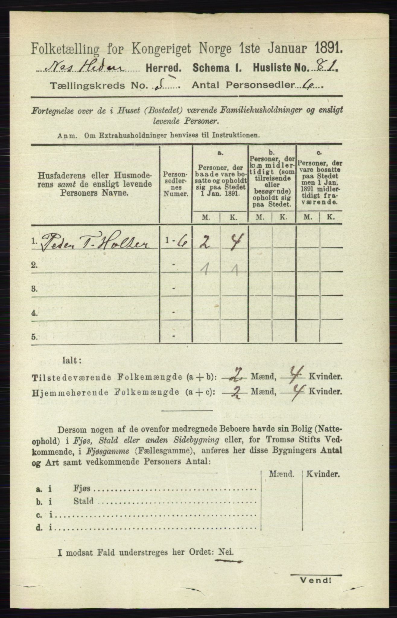 RA, 1891 census for 0411 Nes, 1891, p. 2601