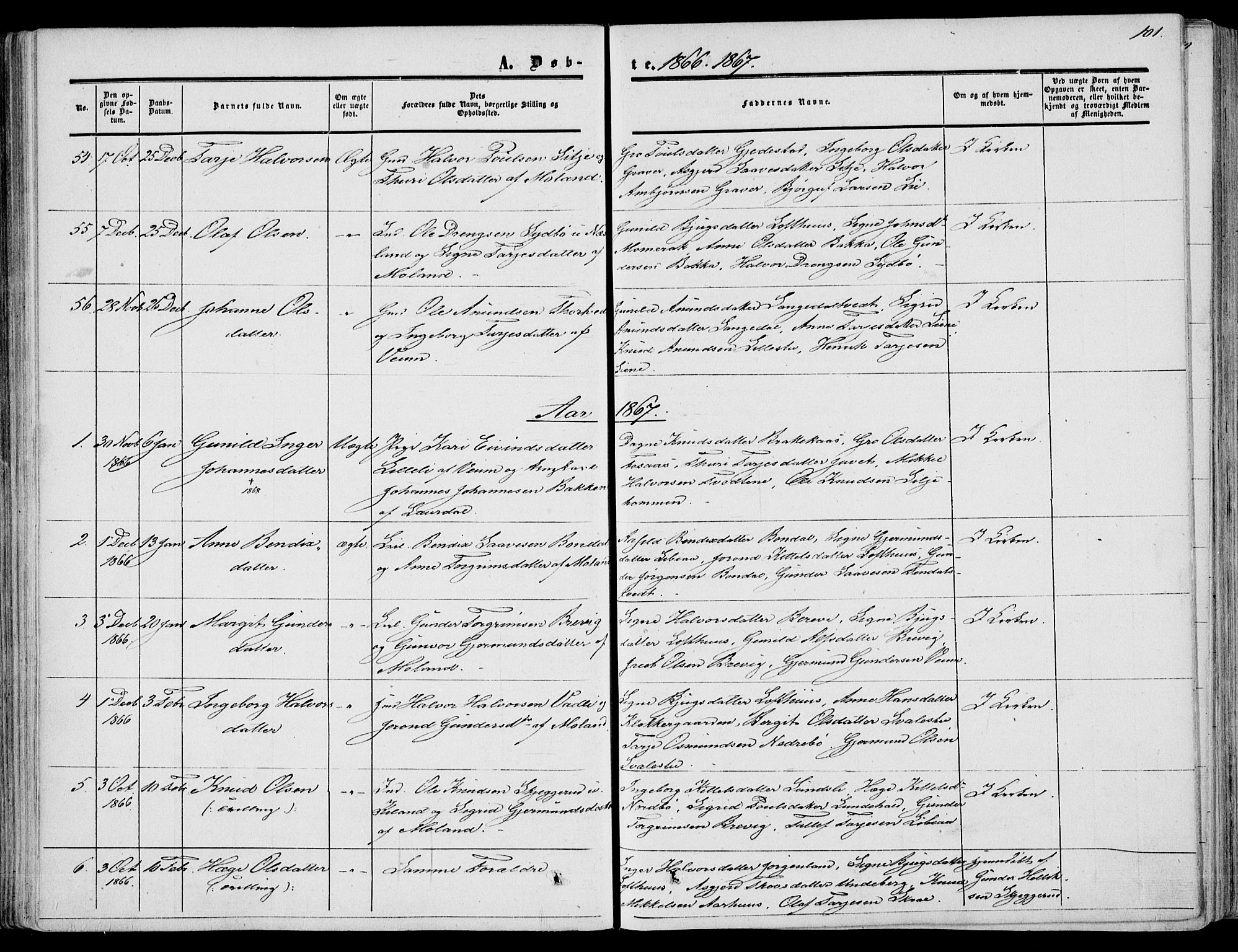 Fyresdal kirkebøker, SAKO/A-263/F/Fa/L0005: Parish register (official) no. I 5, 1855-1871, p. 101