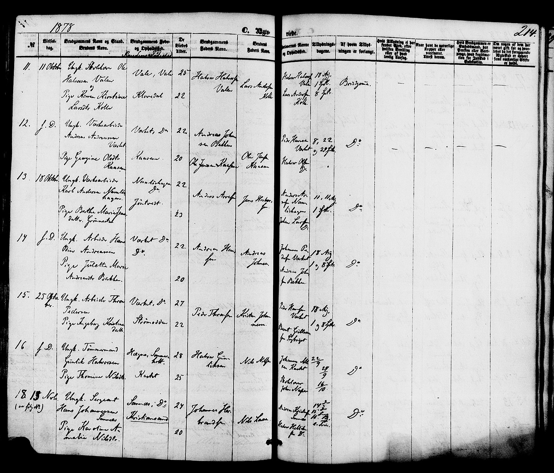 Holla kirkebøker, SAKO/A-272/F/Fa/L0007: Parish register (official) no. 7, 1869-1881, p. 214