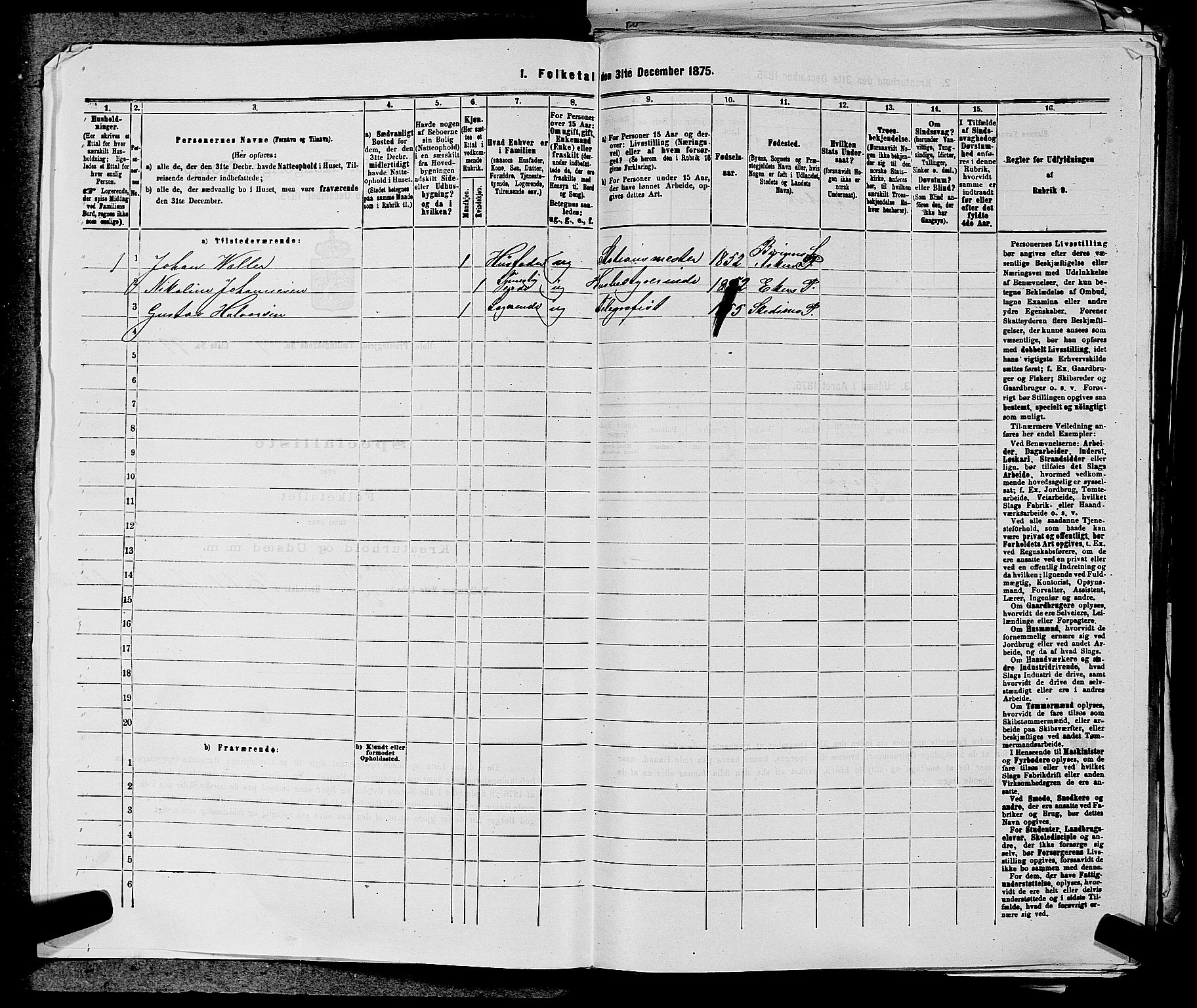 SAKO, 1875 census for 0612P Hole, 1875, p. 1157