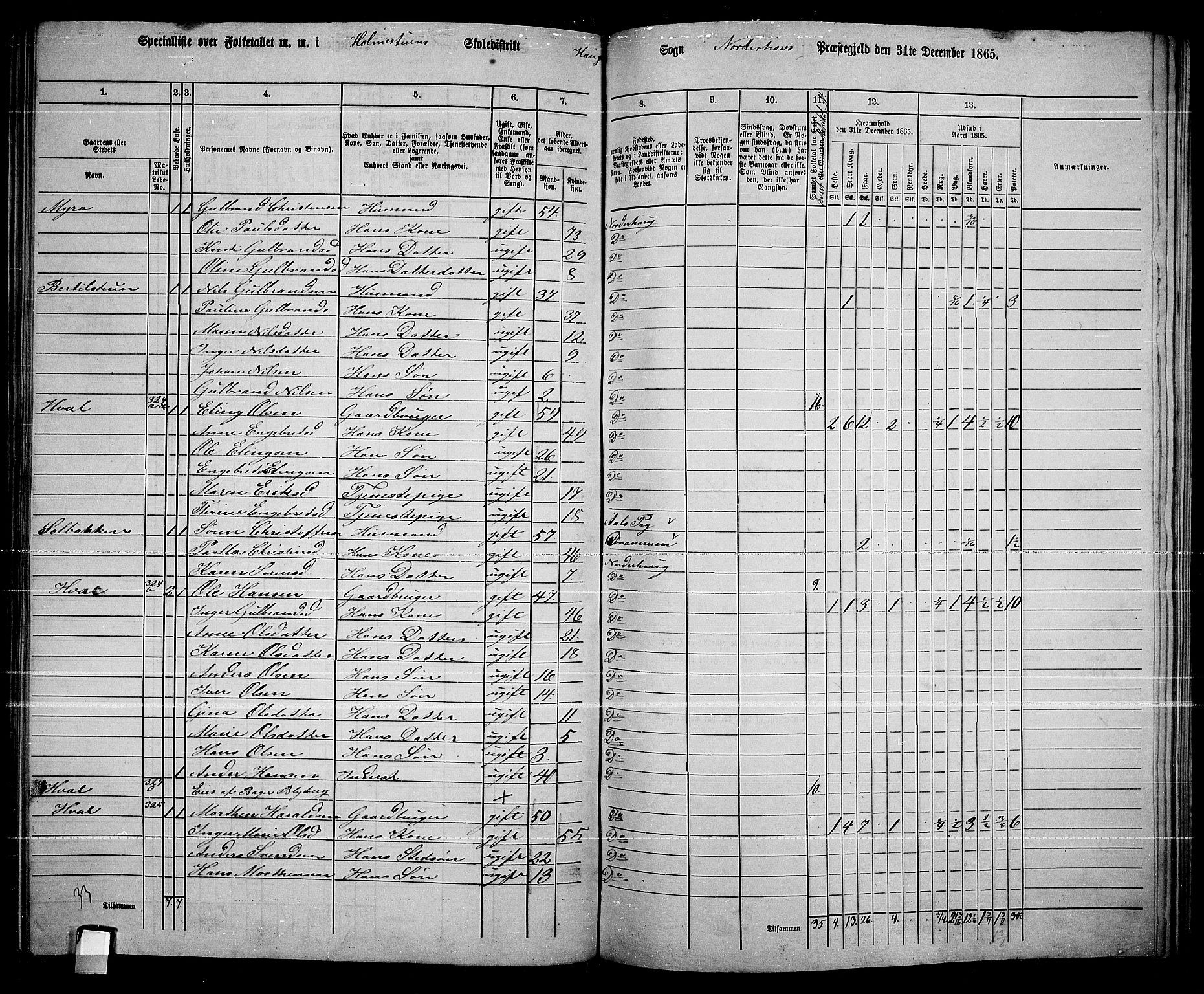 RA, 1865 census for Norderhov/Norderhov, Haug og Lunder, 1865, p. 233