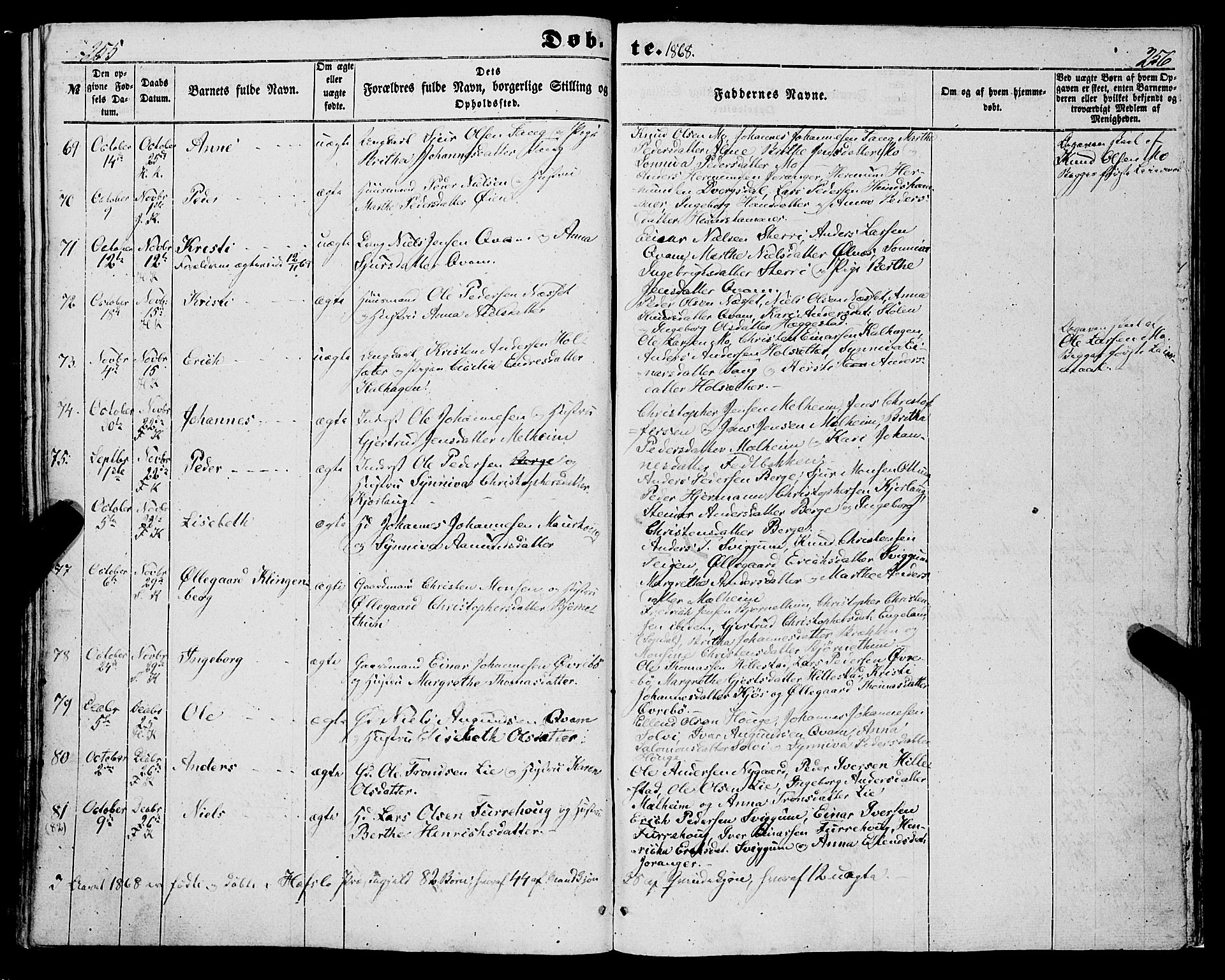 Hafslo sokneprestembete, AV/SAB-A-80301/H/Haa/Haaa/L0009: Parish register (official) no. A 9, 1852-1873, p. 255-256