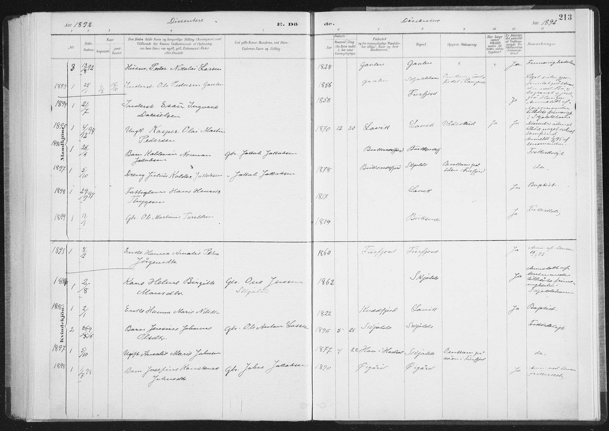 Ministerialprotokoller, klokkerbøker og fødselsregistre - Nordland, SAT/A-1459/898/L1422: Parish register (official) no. 898A02, 1887-1908, p. 213