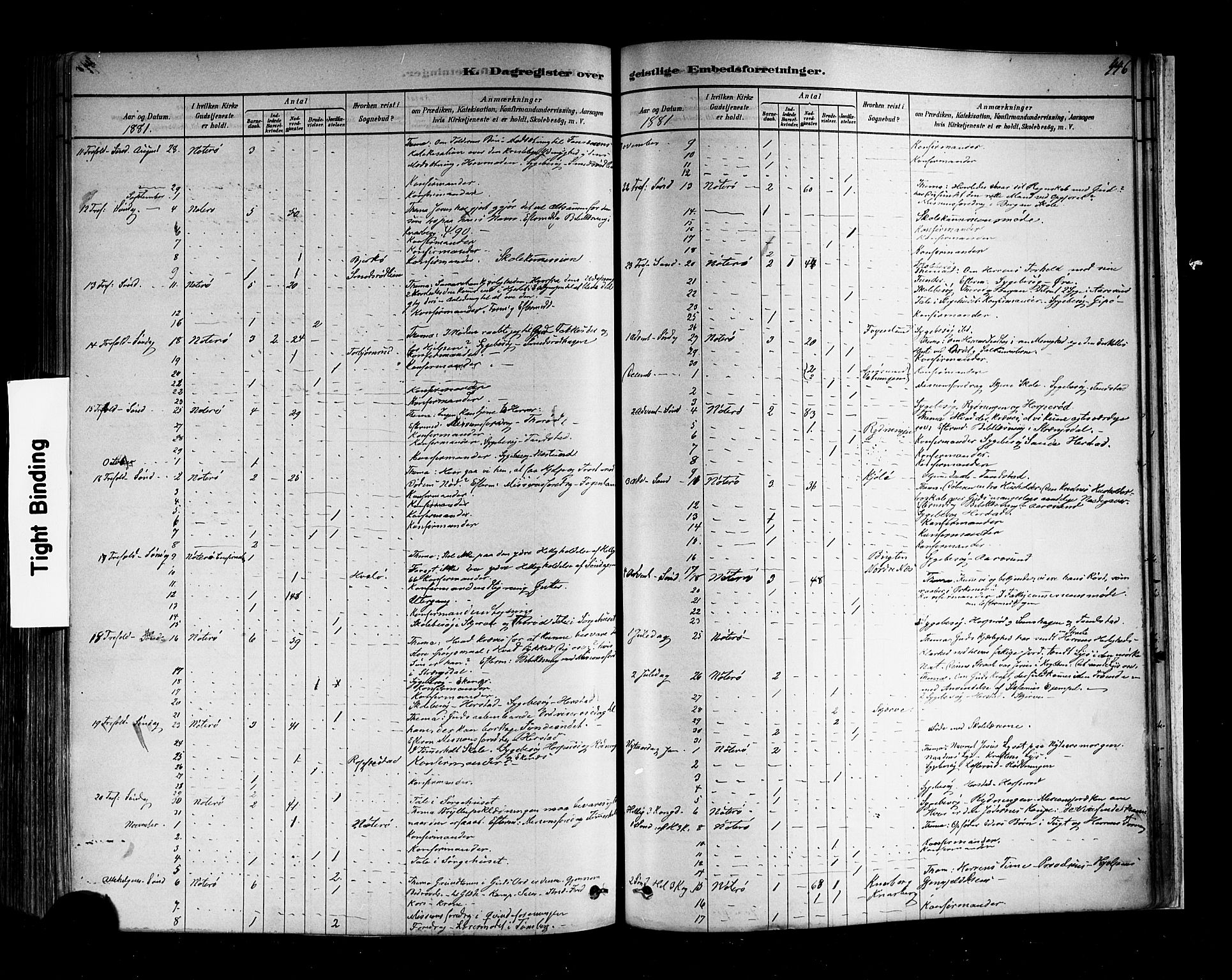 Nøtterøy kirkebøker, AV/SAKO-A-354/F/Fa/L0008: Parish register (official) no. I 8, 1878-1893, p. 446