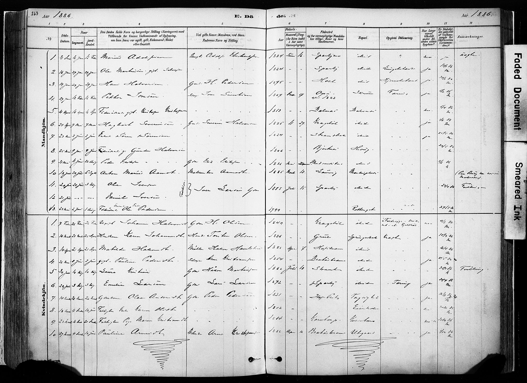 Hof prestekontor, SAH/PREST-038/H/Ha/Haa/L0010: Parish register (official) no. 10, 1878-1909, p. 263