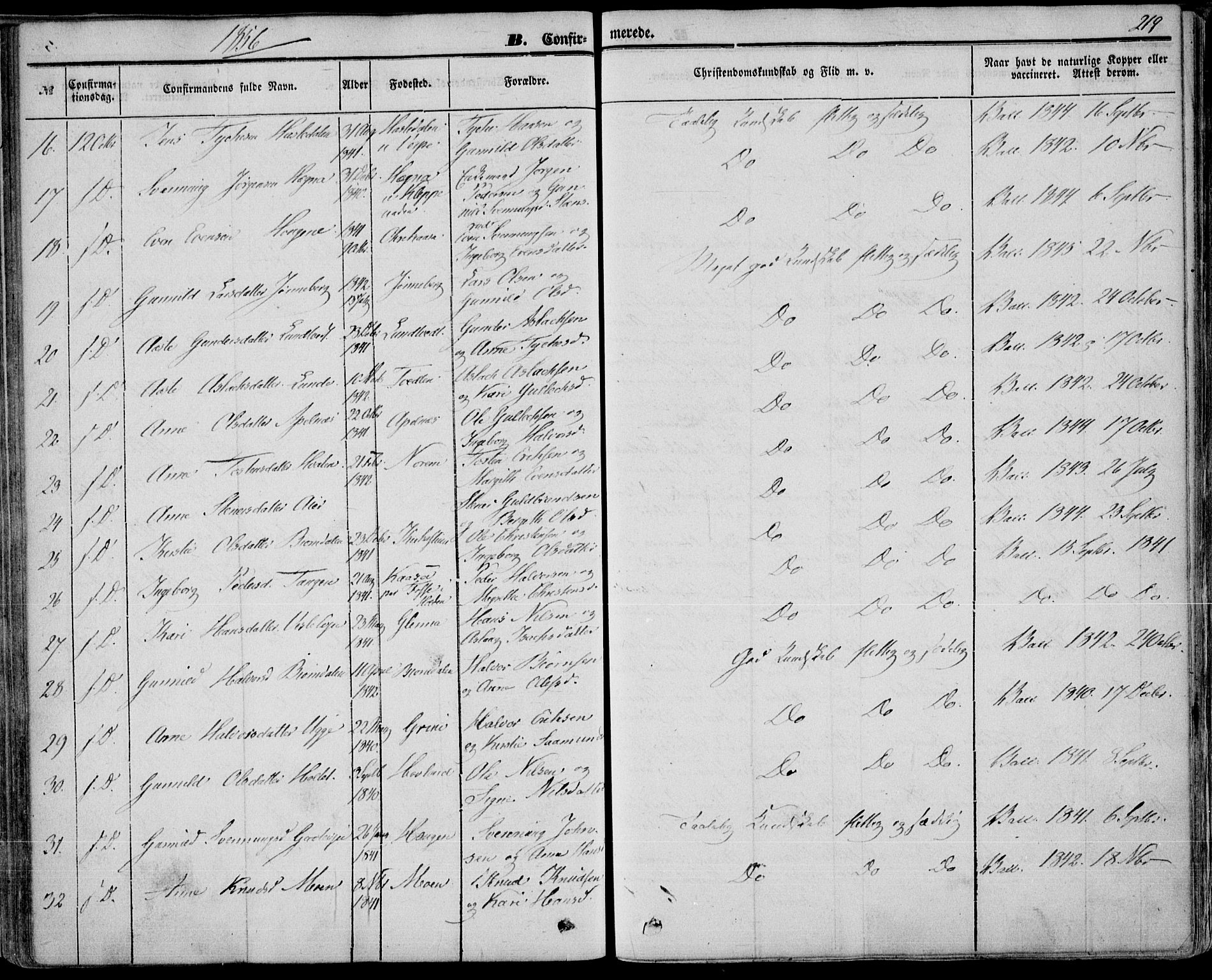 Bø kirkebøker, SAKO/A-257/F/Fa/L0008: Parish register (official) no. 8, 1849-1861, p. 219