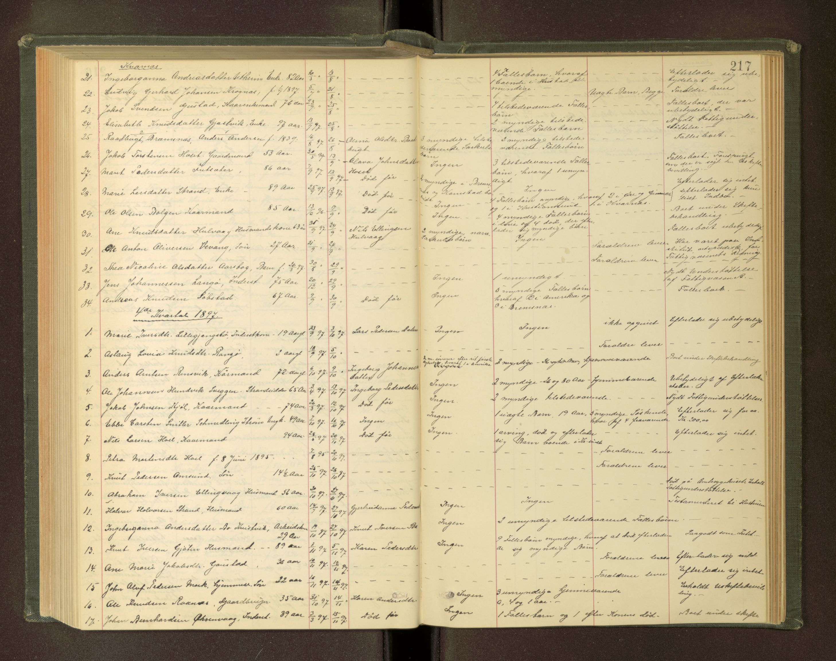 Nordmøre sorenskriveri, AV/SAT-A-4132/1/3/3L/L0003: Dødsfallsprotokoll, 1883-1897, p. 217