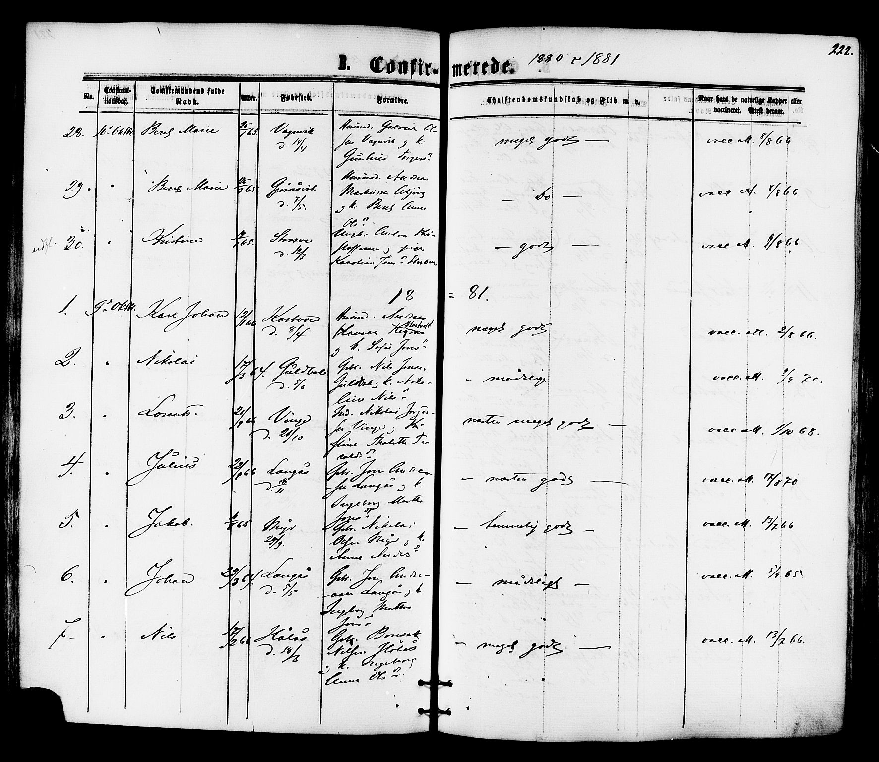 Ministerialprotokoller, klokkerbøker og fødselsregistre - Nord-Trøndelag, SAT/A-1458/701/L0009: Parish register (official) no. 701A09 /1, 1864-1882, p. 222