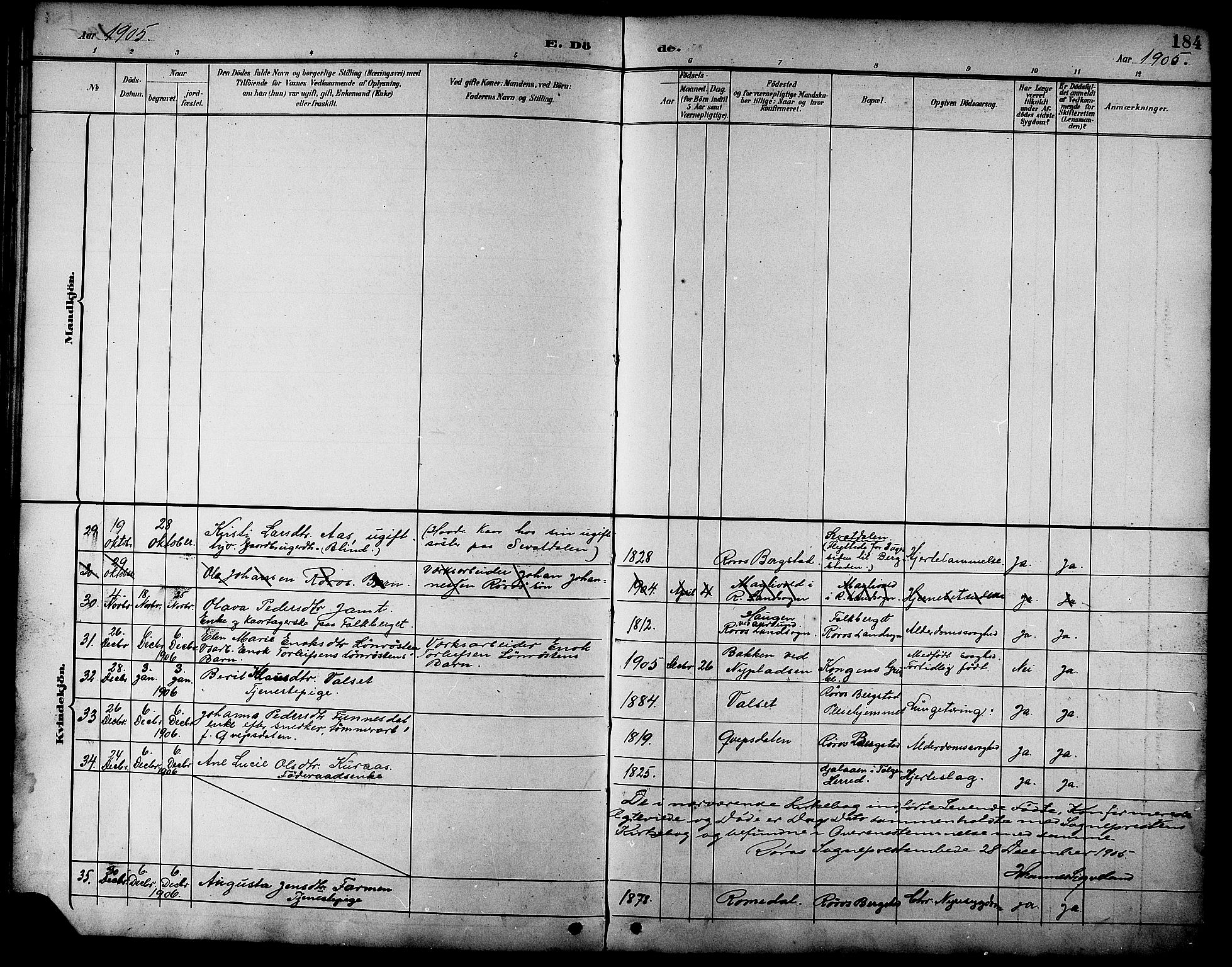 Ministerialprotokoller, klokkerbøker og fødselsregistre - Sør-Trøndelag, SAT/A-1456/681/L0941: Parish register (copy) no. 681C05, 1896-1905, p. 184