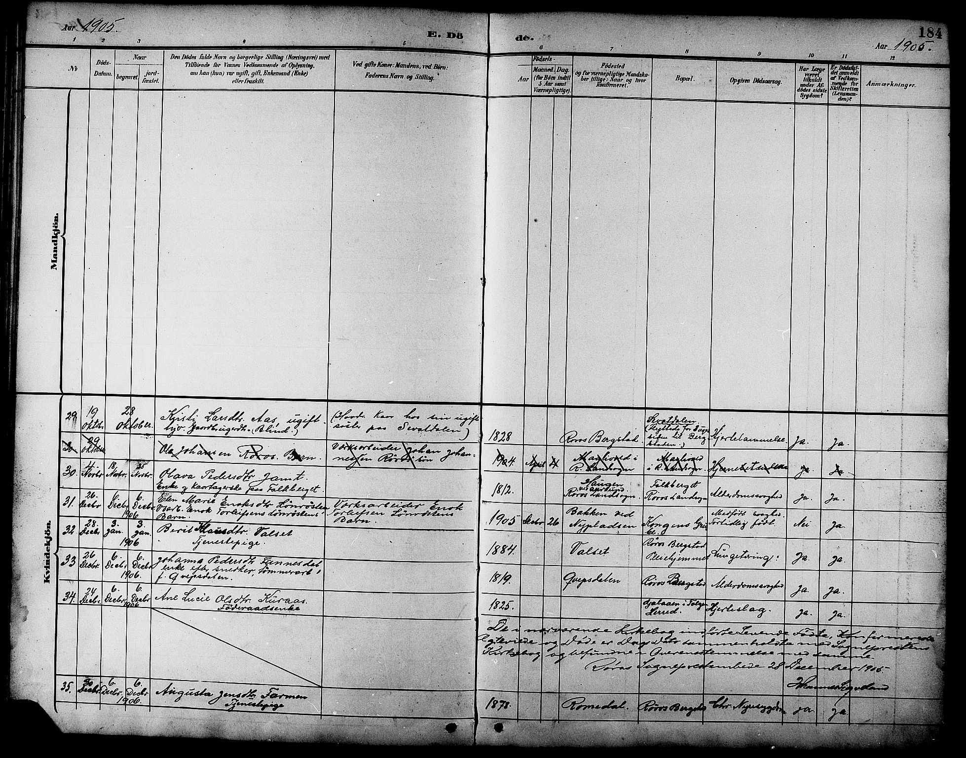 Ministerialprotokoller, klokkerbøker og fødselsregistre - Sør-Trøndelag, AV/SAT-A-1456/681/L0941: Parish register (copy) no. 681C05, 1896-1905, p. 184