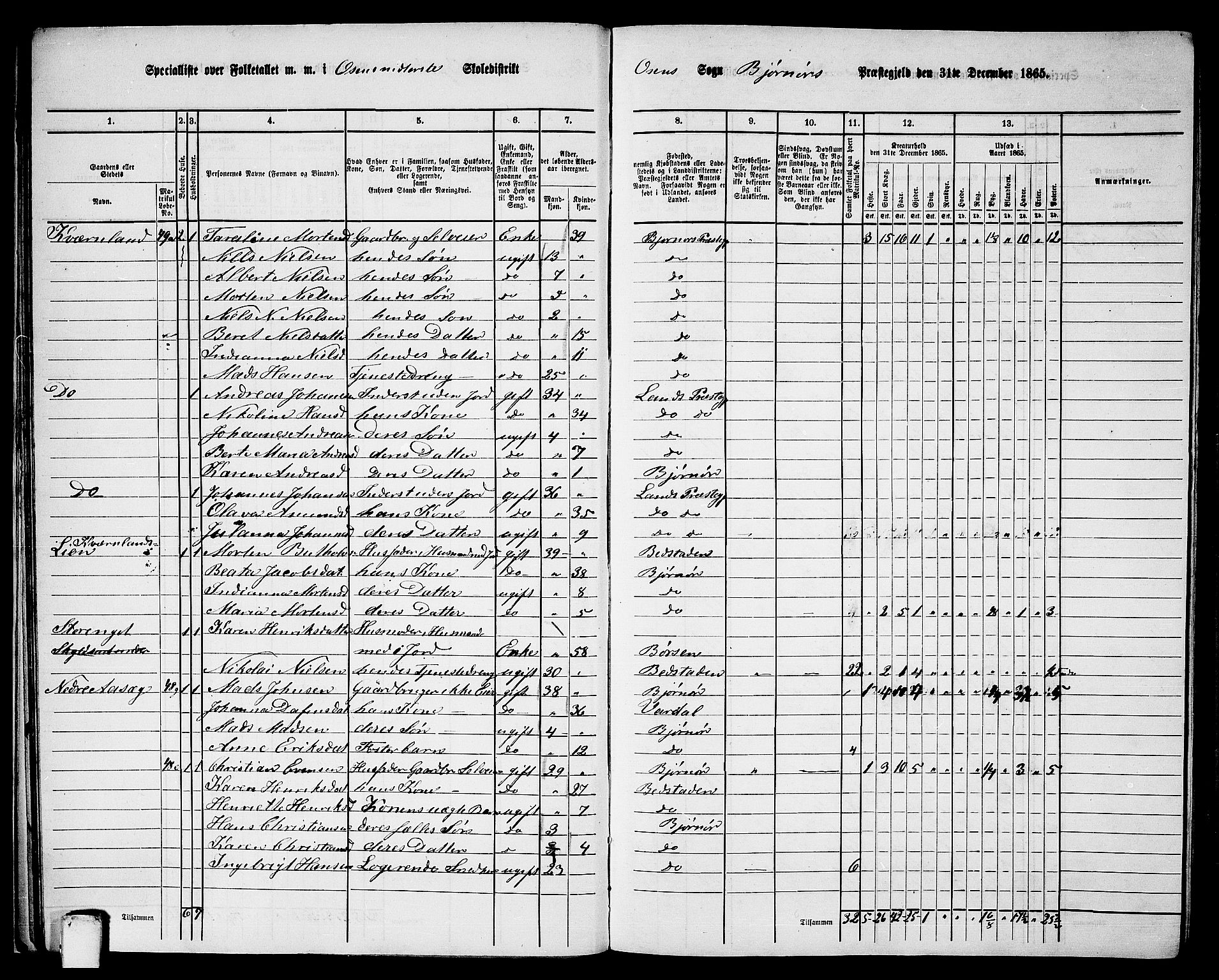 RA, 1865 census for Bjørnør, 1865, p. 25