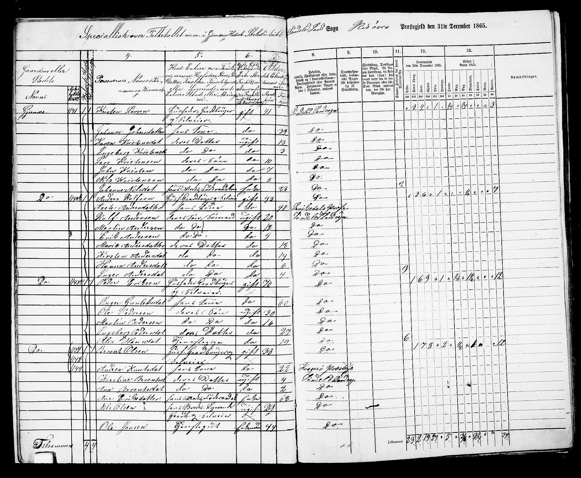 RA, 1865 census for Risør/Søndeled, 1865, p. 12