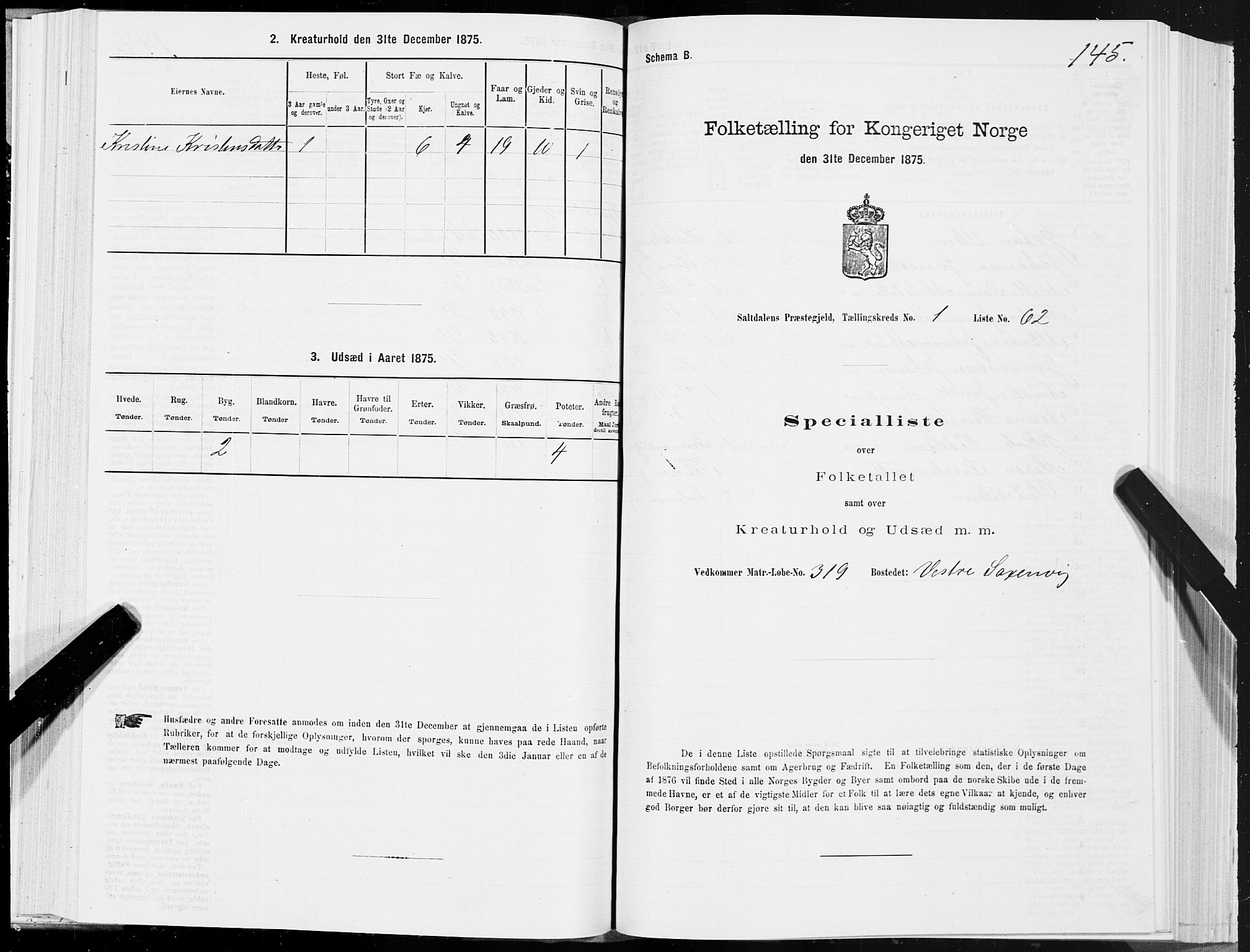SAT, 1875 census for 1840P Saltdal, 1875, p. 1145