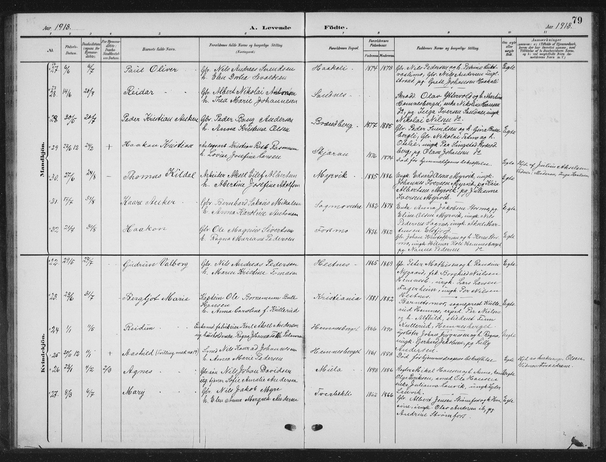 Ministerialprotokoller, klokkerbøker og fødselsregistre - Nordland, AV/SAT-A-1459/825/L0370: Parish register (copy) no. 825C07, 1903-1923, p. 79