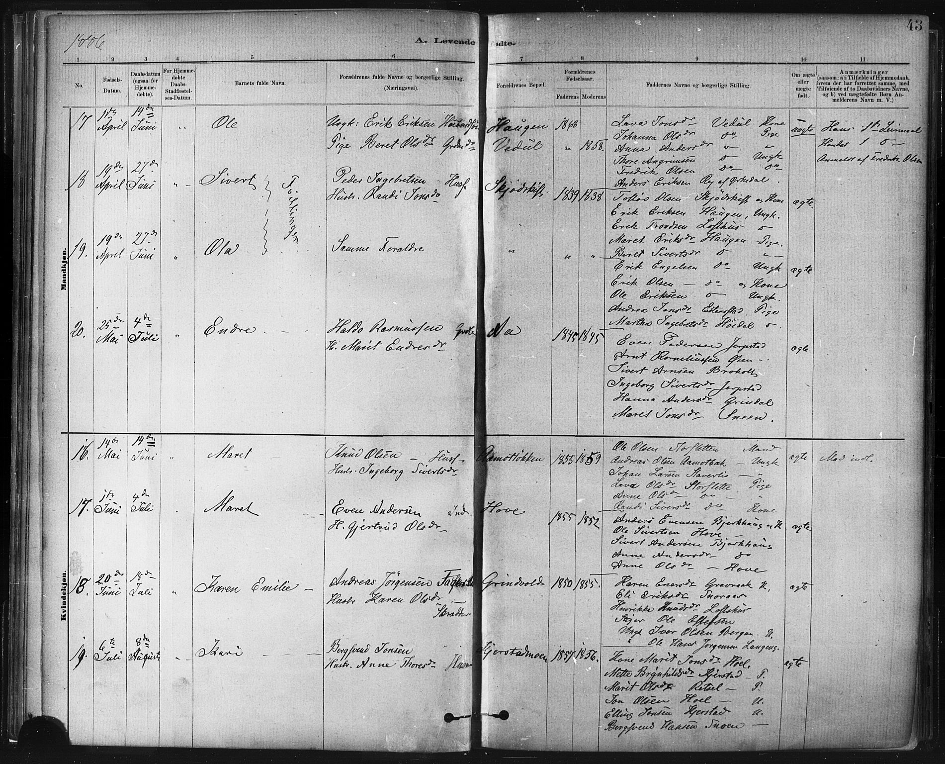 Ministerialprotokoller, klokkerbøker og fødselsregistre - Sør-Trøndelag, AV/SAT-A-1456/672/L0857: Parish register (official) no. 672A09, 1882-1893, p. 43
