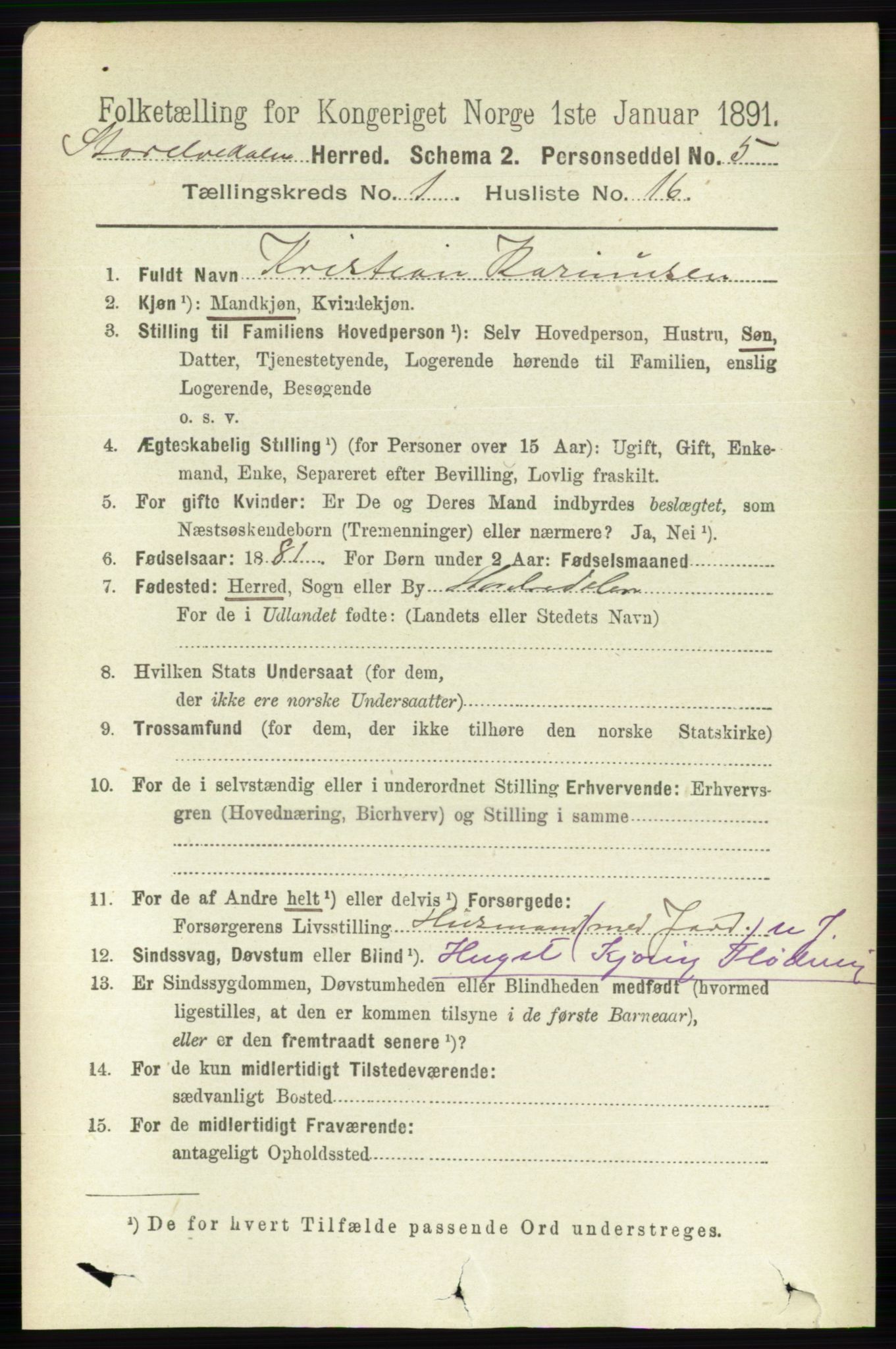 RA, 1891 census for 0430 Stor-Elvdal, 1891, p. 172