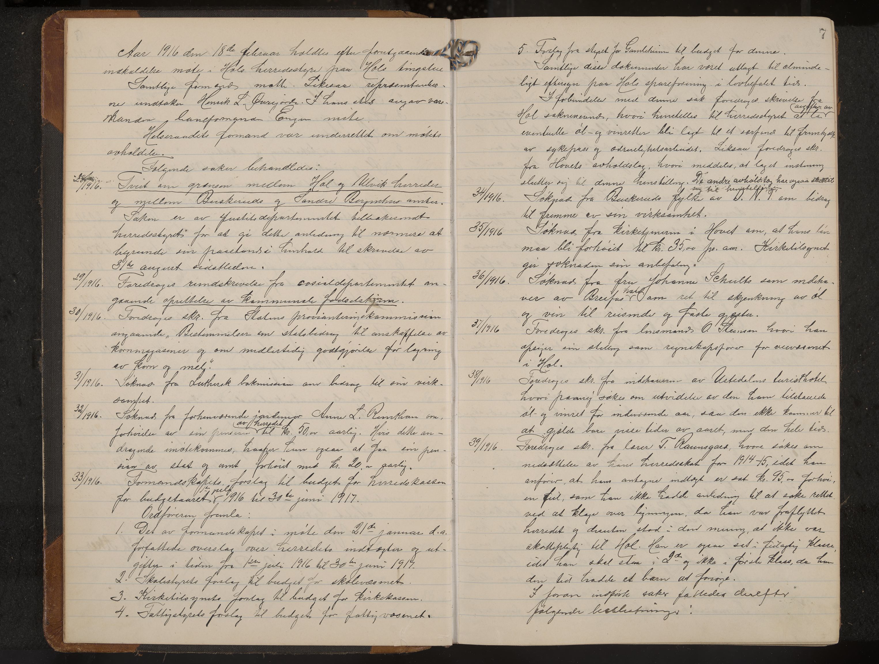 Hol formannskap og sentraladministrasjon, IKAK/0620021-1/A/L0006: Møtebok, 1916-1922, p. 7