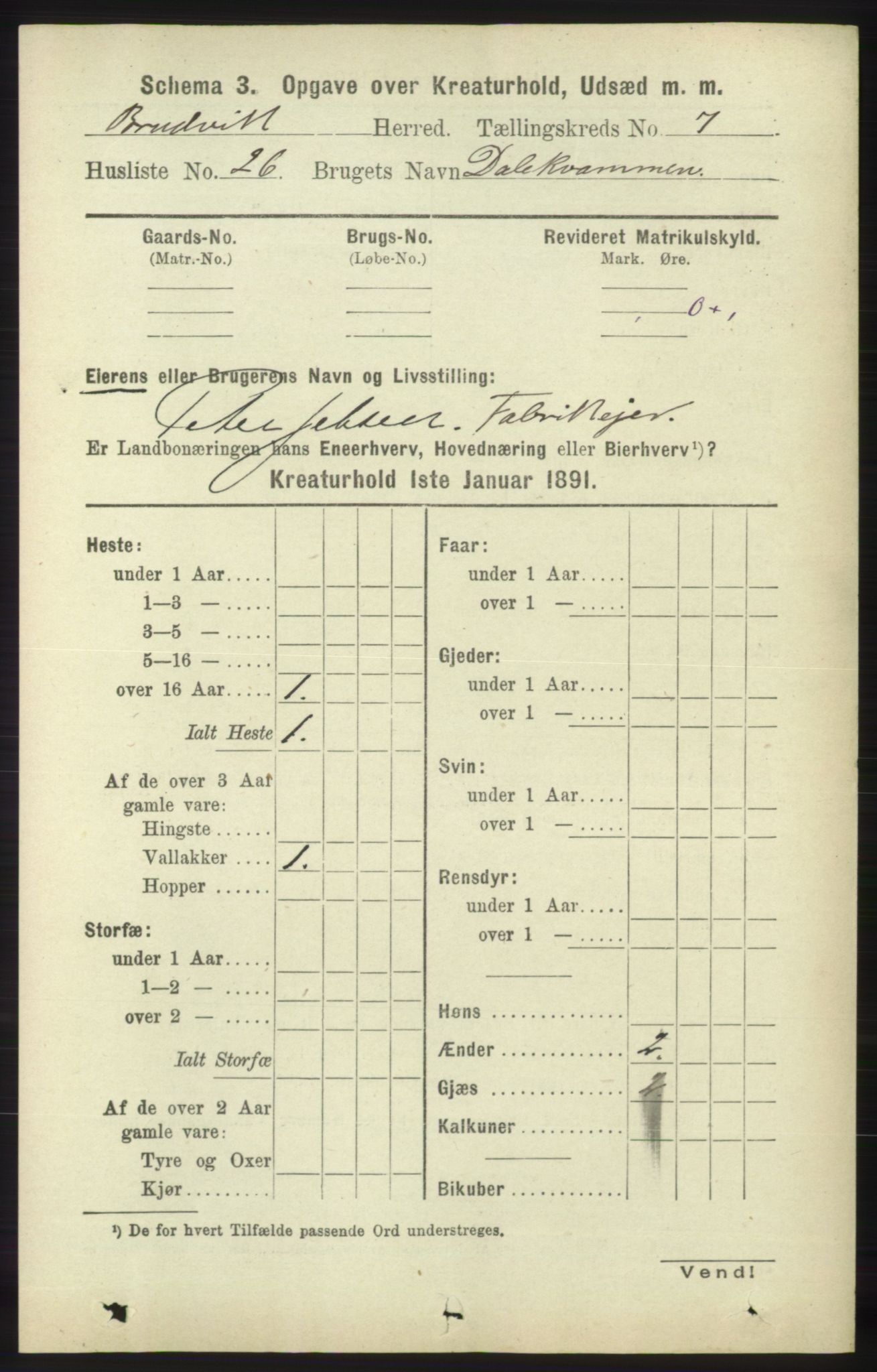 RA, 1891 census for 1251 Bruvik, 1891, p. 4725