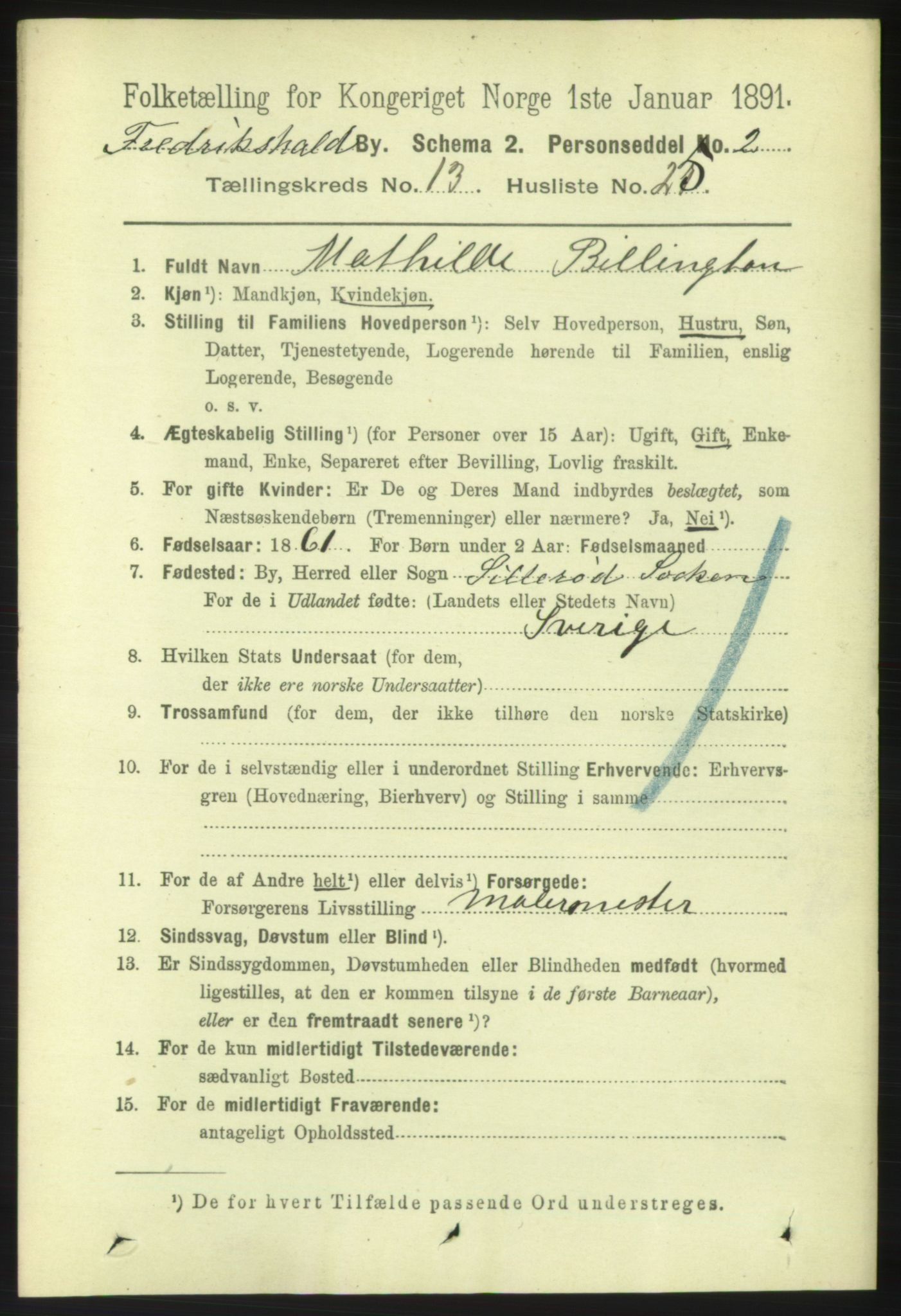 RA, 1891 census for 0101 Fredrikshald, 1891, p. 9013