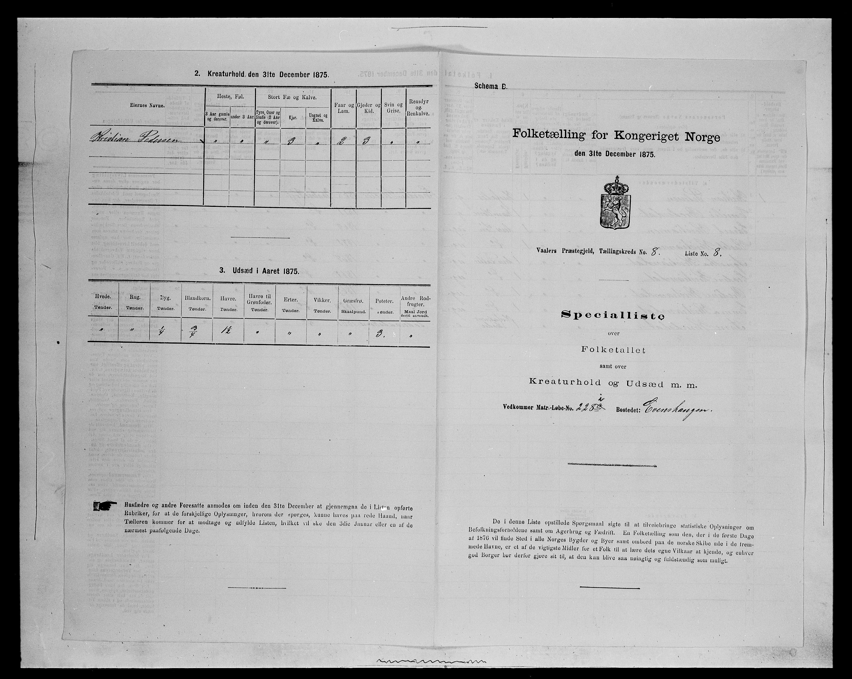 SAH, 1875 census for 0426P Våler parish (Hedmark), 1875, p. 1038