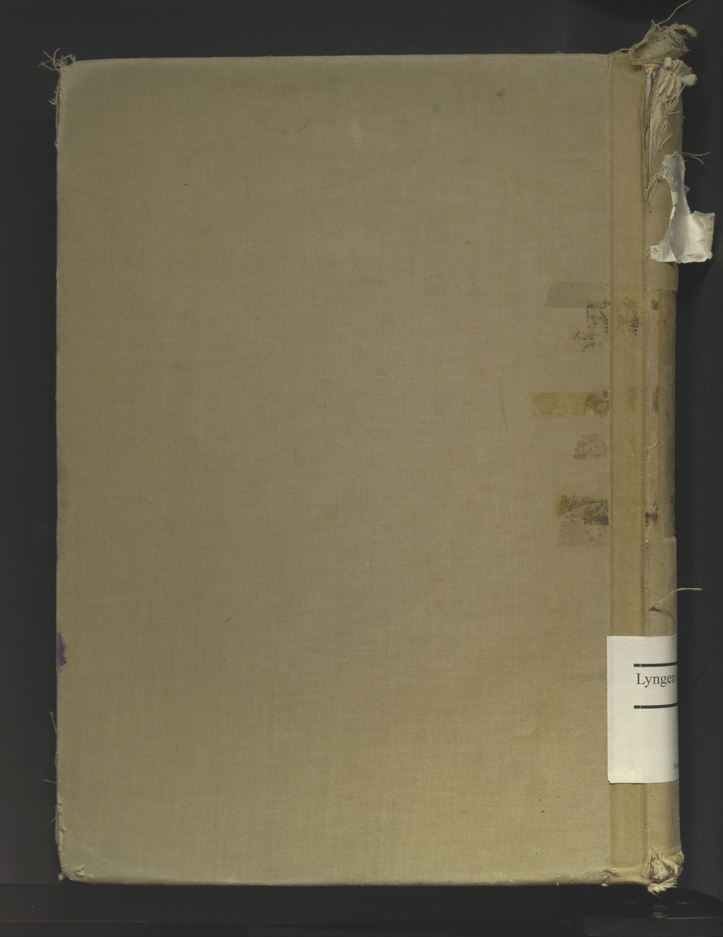 Lyngen sokneprestembete, AV/SATØ-S-1289/I/Ia/L0078: Birth register no. 78, 1916-1950